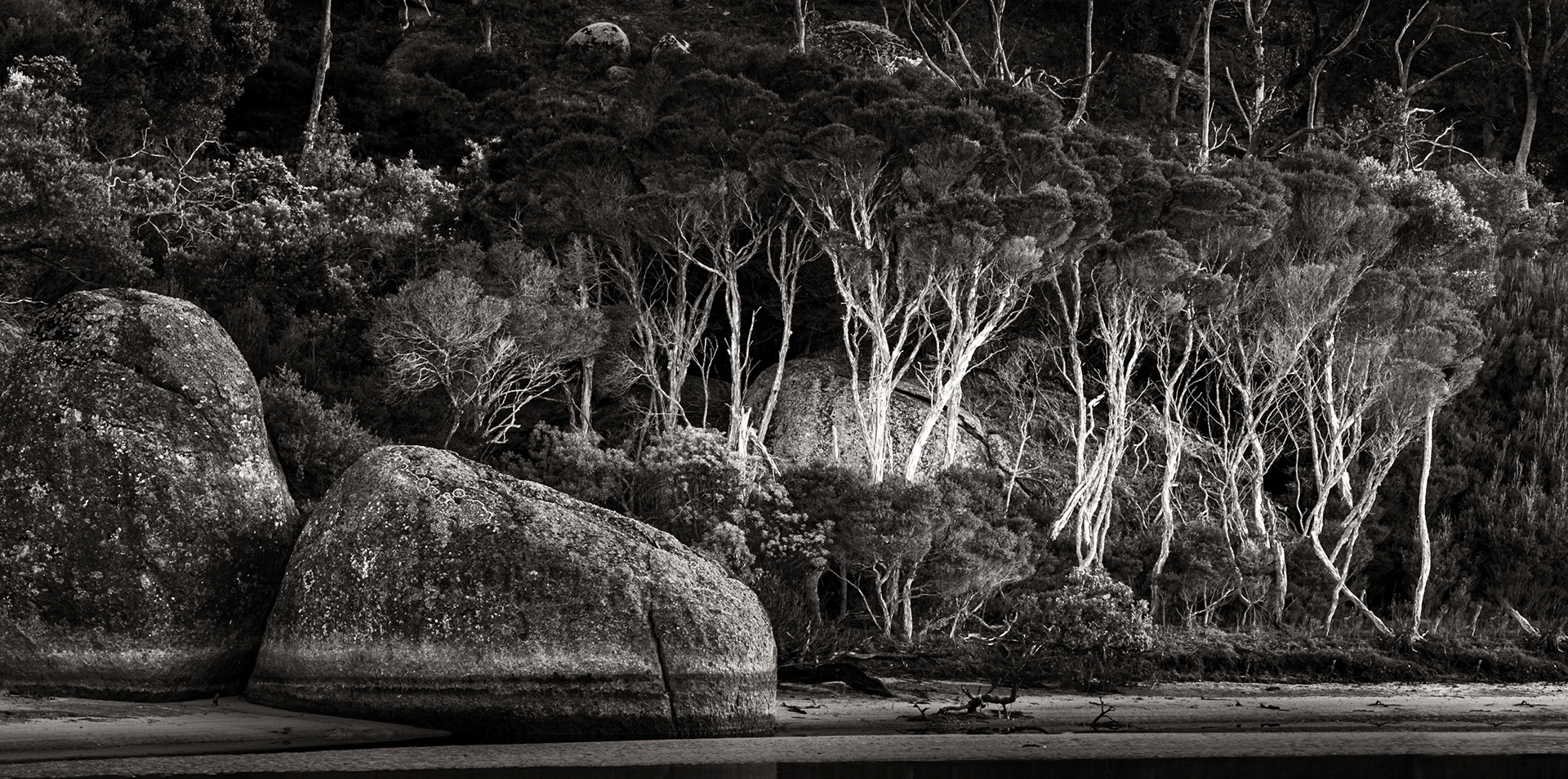 Tidal River - Wilsons Promonotry