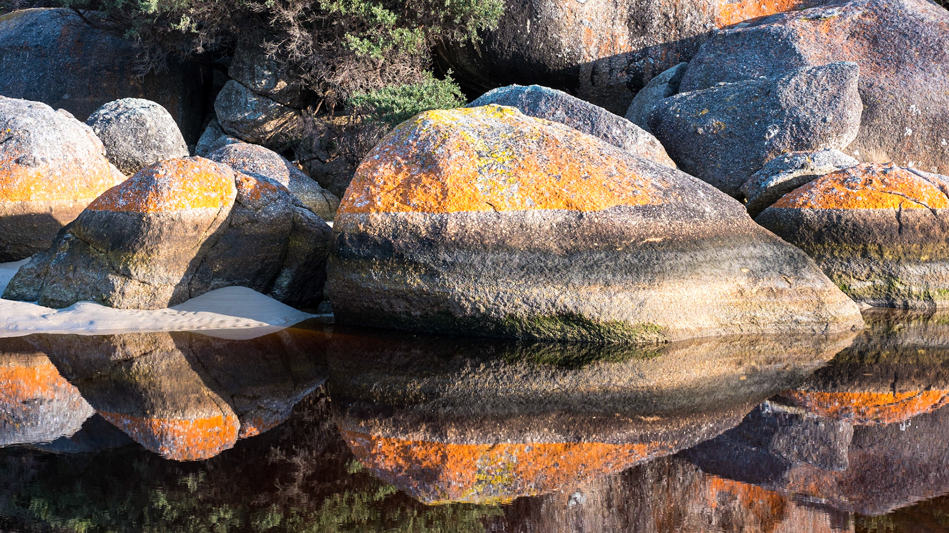 Tidal River - Wilsons Promonotry