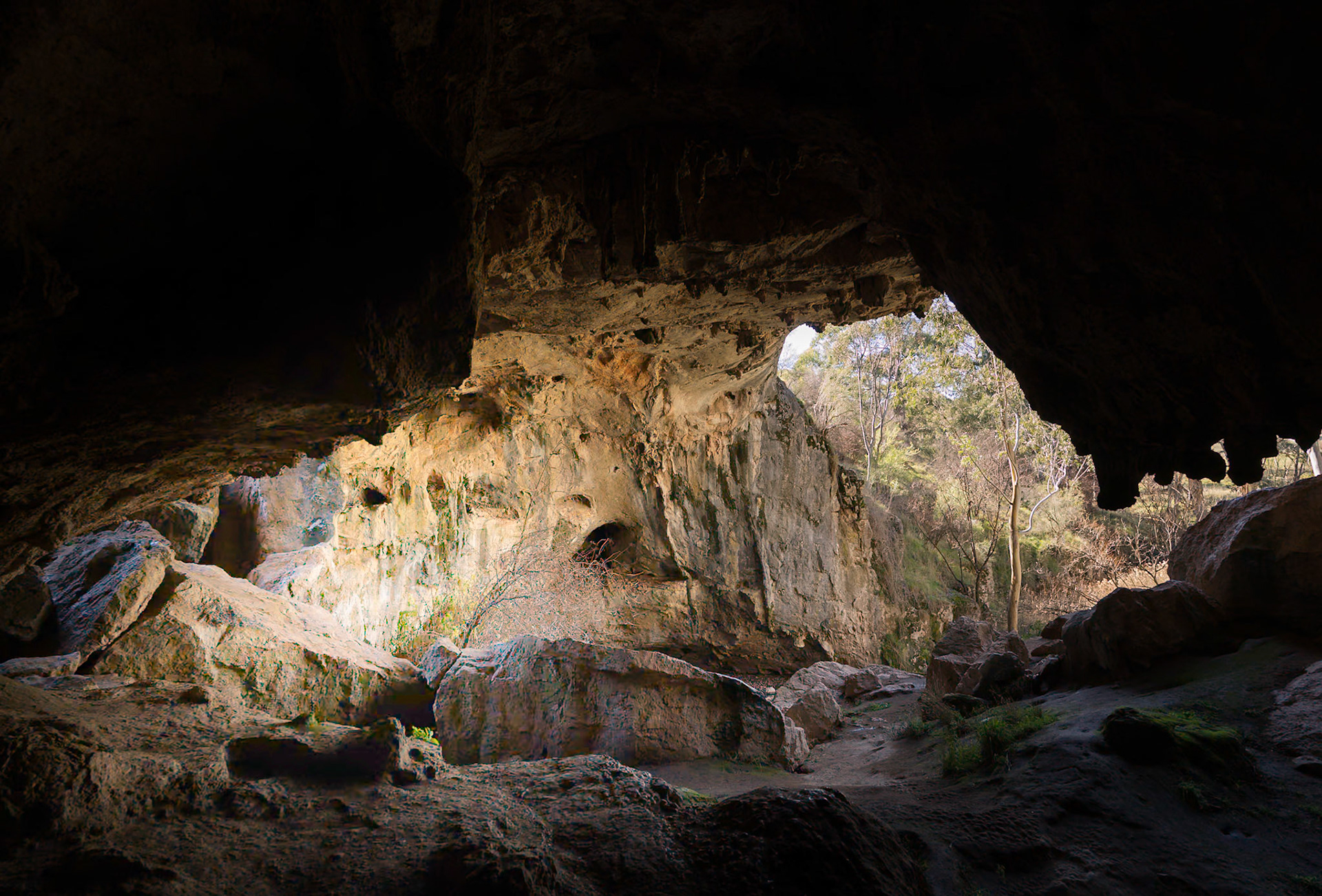 Borenore Karst Conservation Area