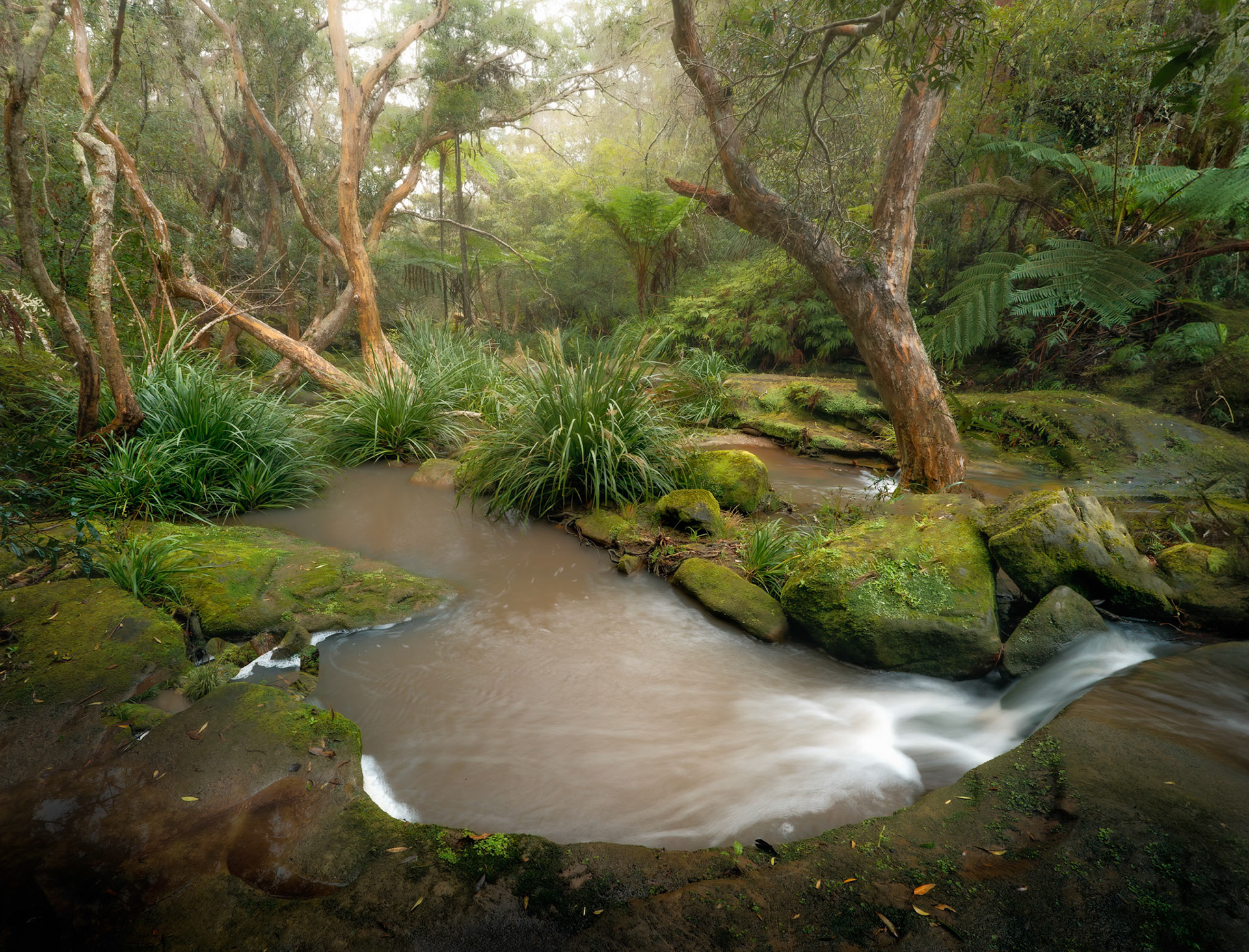 Kierans Creek 3