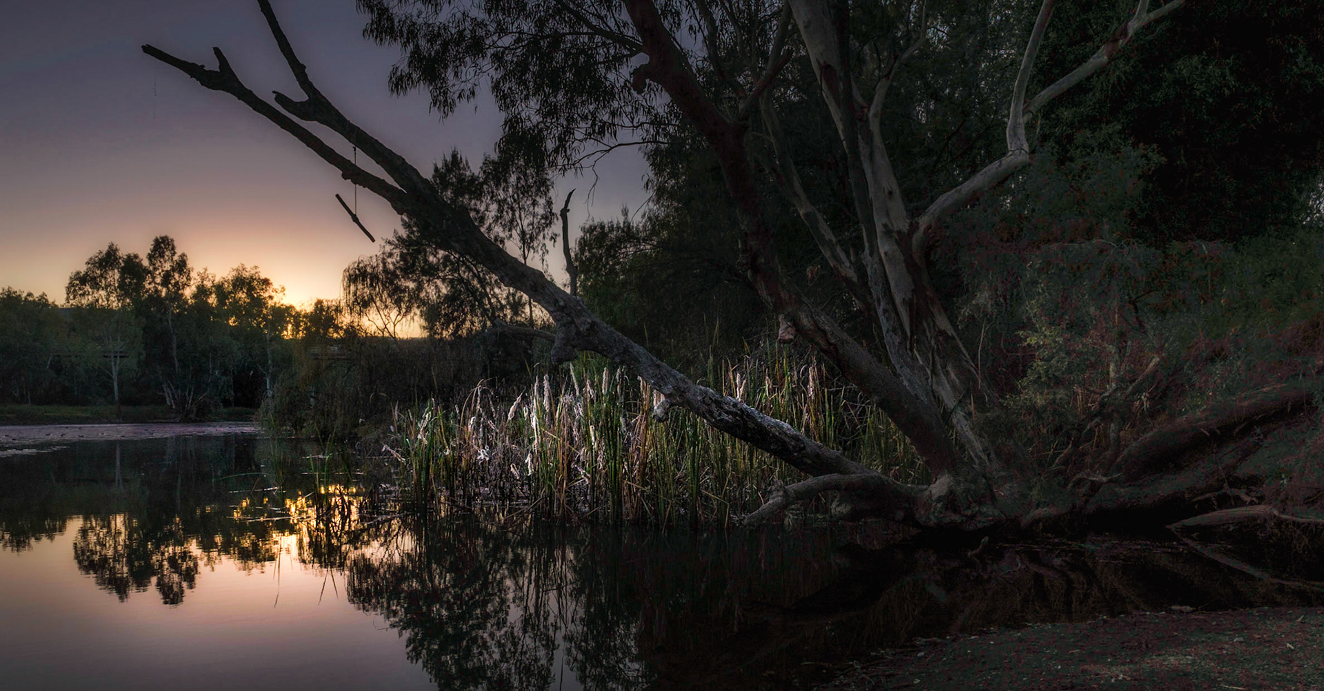 Gwyder River, Bingara