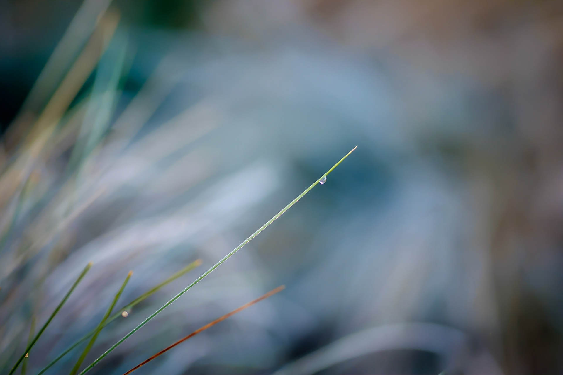 Pallaibo Walk - Kosciuszko National Park