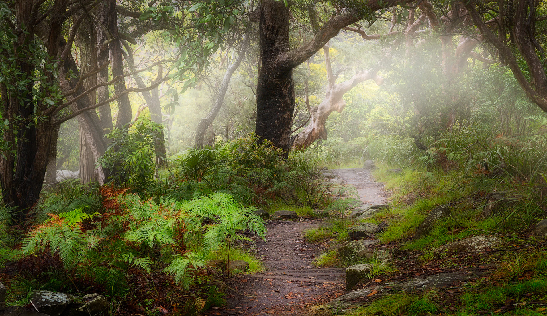 Red Hands Track, West Head