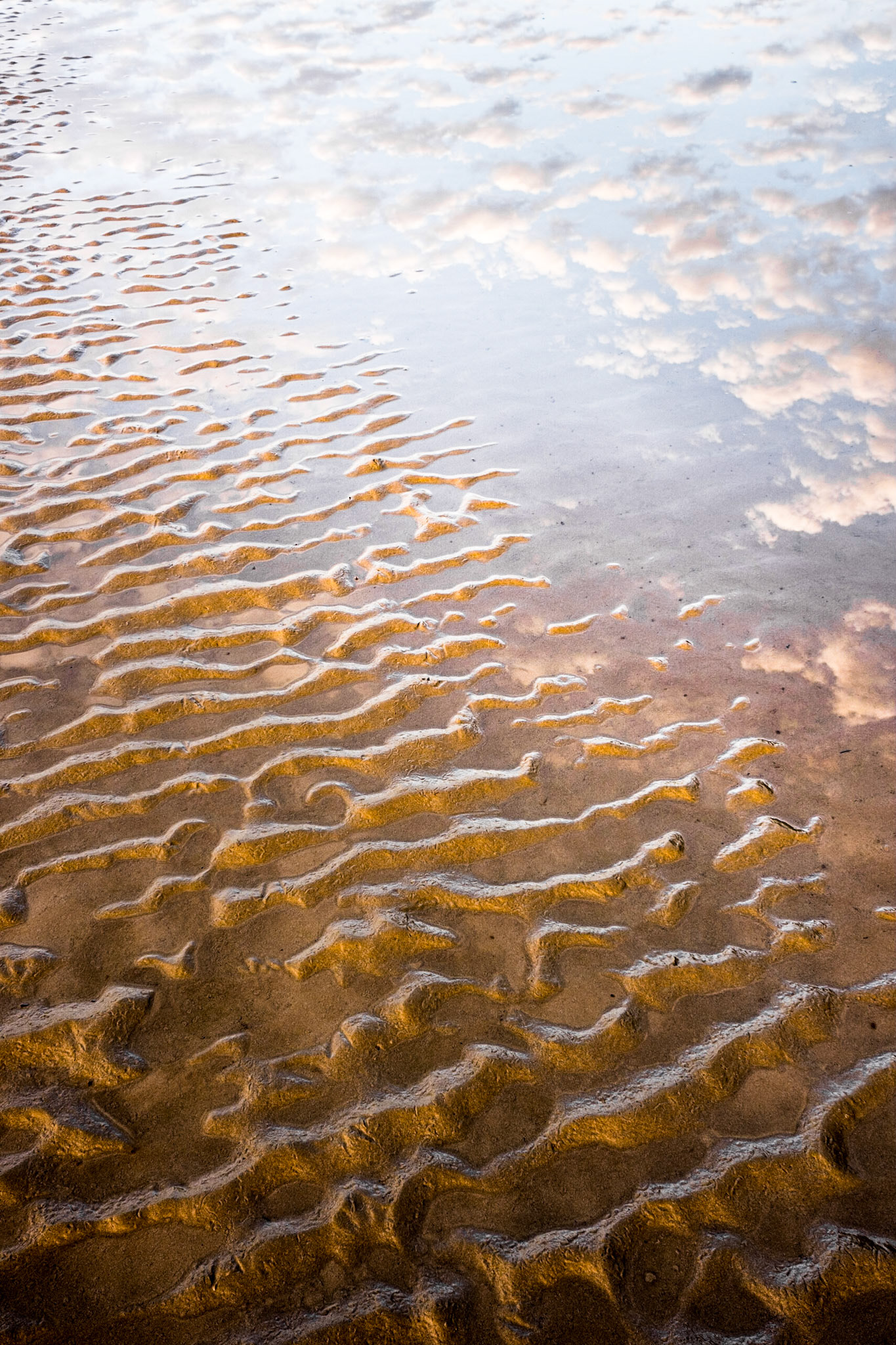Tidal River - Wilsons Promontory