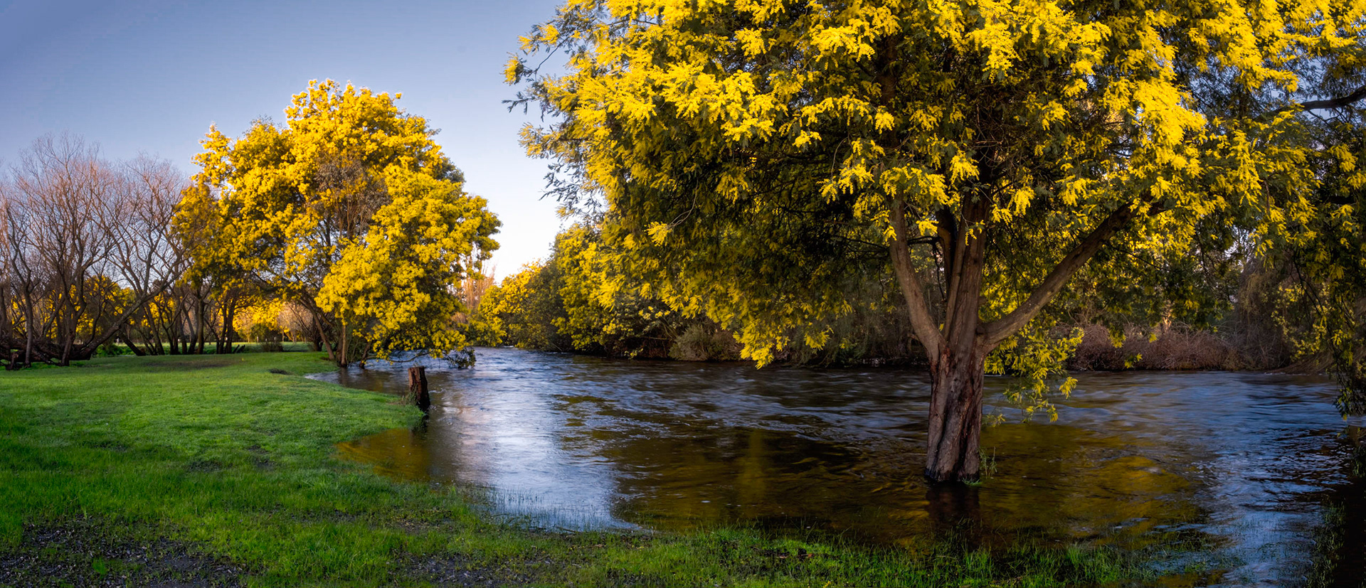 At Taggerty on The Acheron River