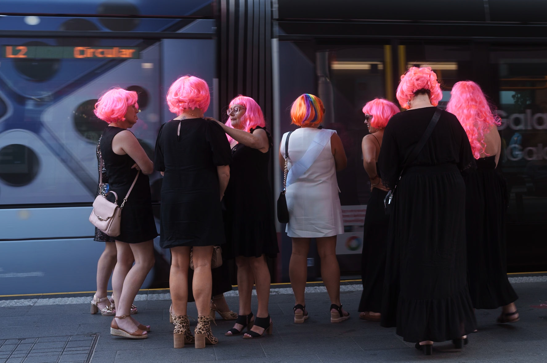 Pink Heads