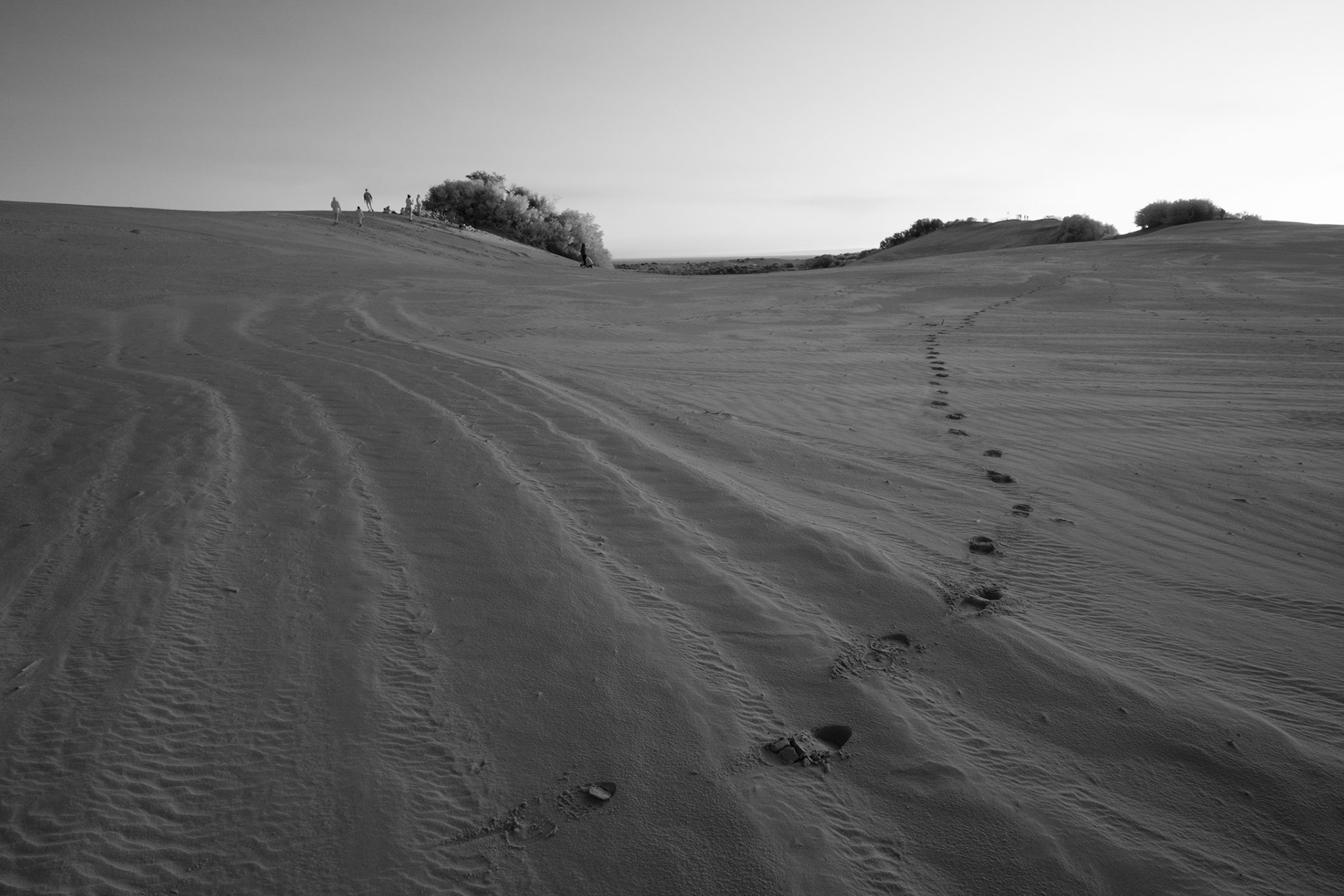 The Big Drift - Wilsons Promonotry