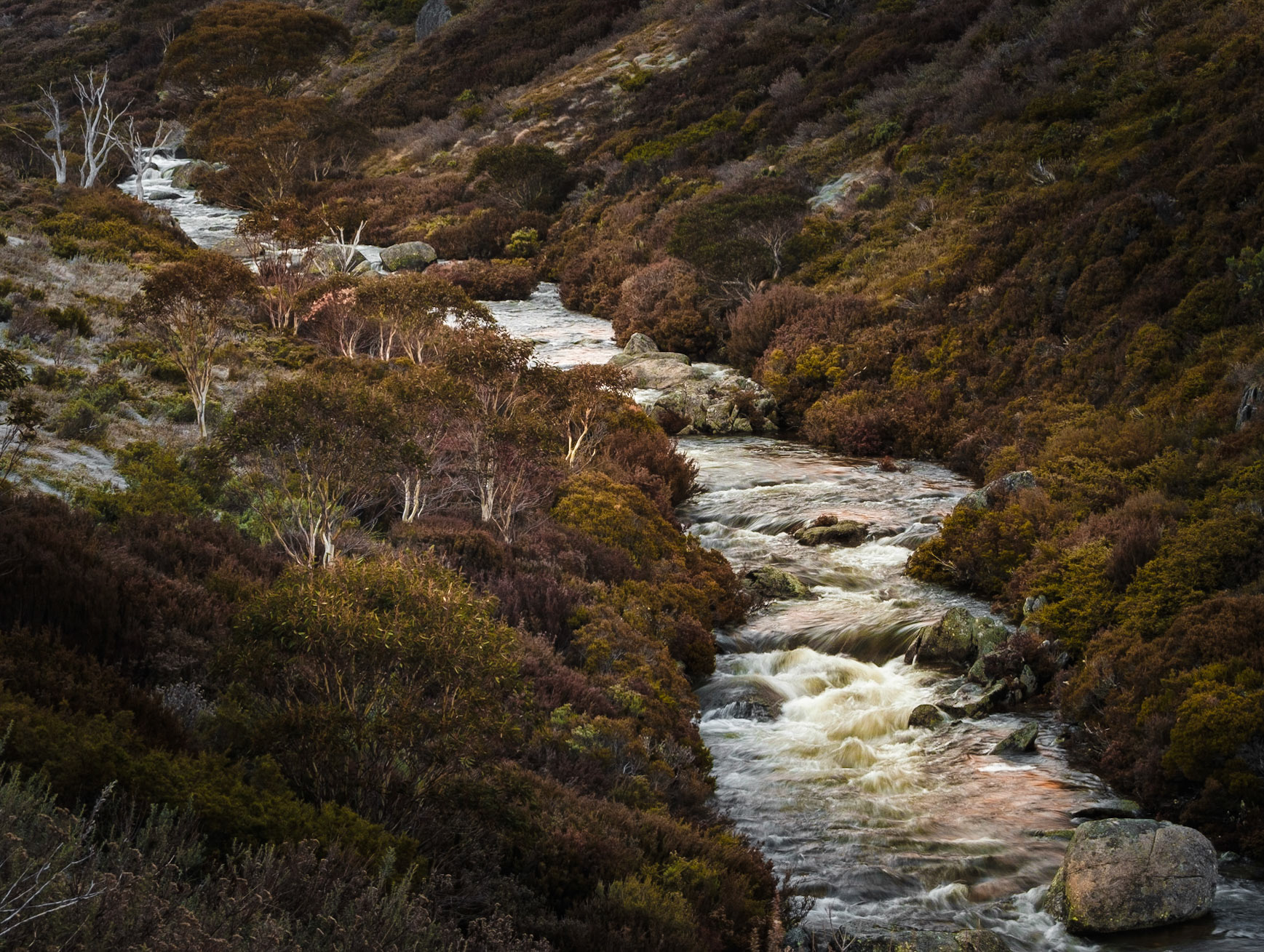 On the Cascades Trail, Kosciuszko National Park