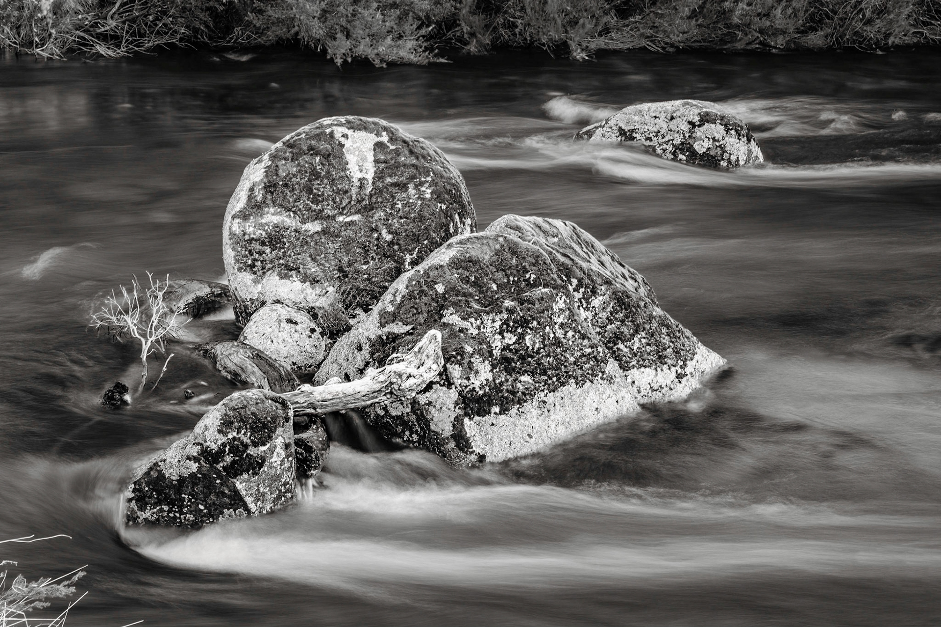 Bullocks Walking Track - Kosciuszko National Park