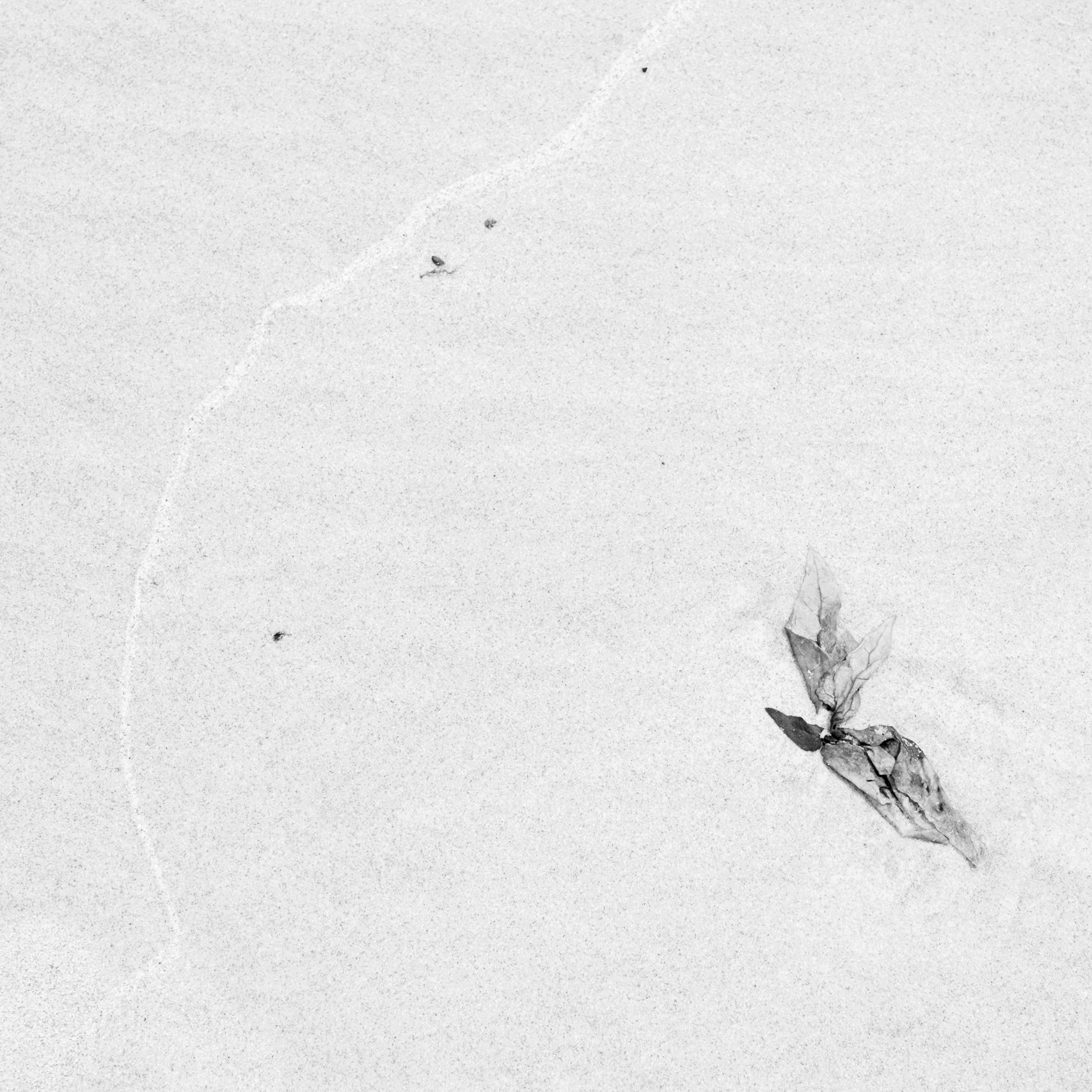 A line in the sand - Back Beach at Point Plomer
