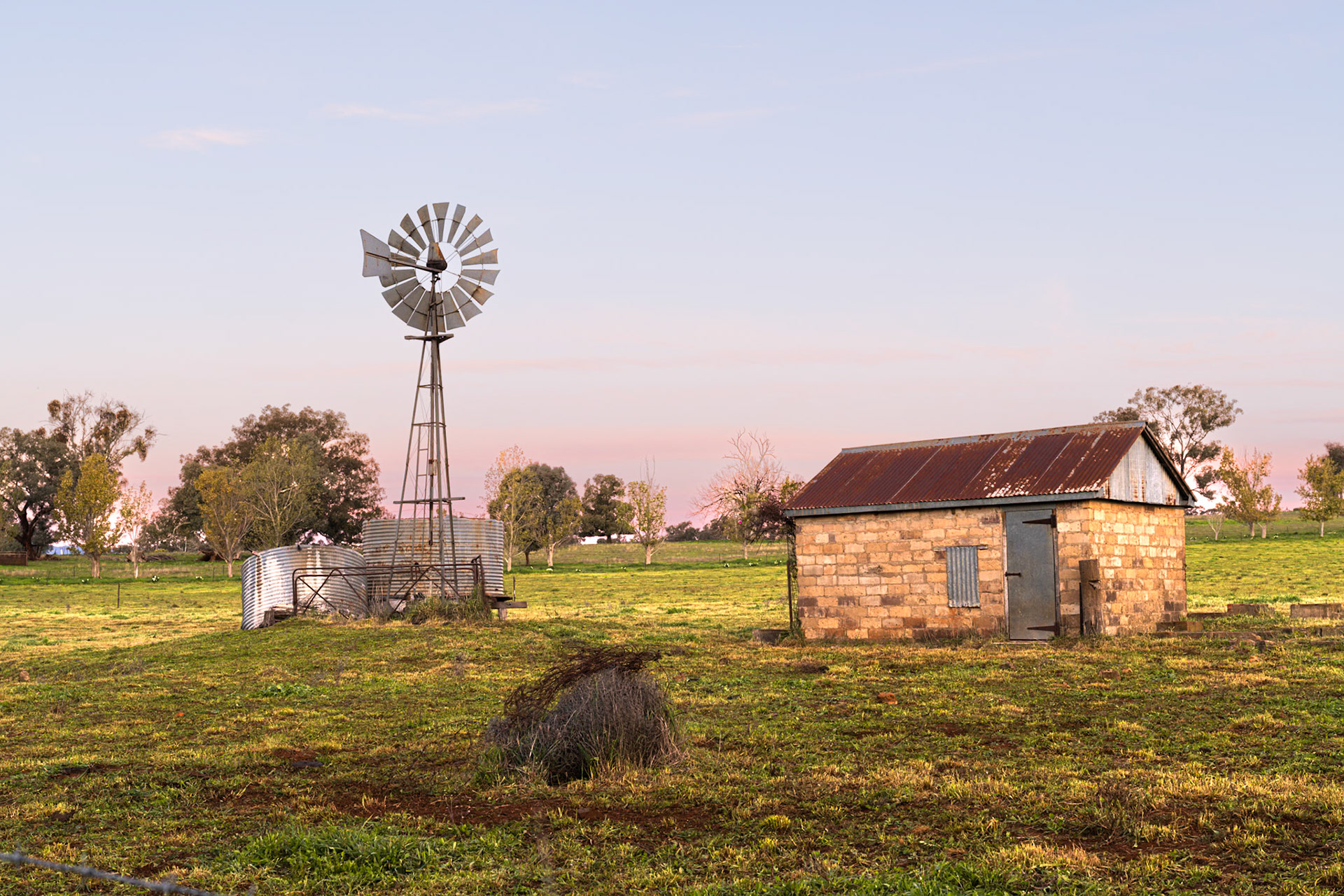 Cudal country