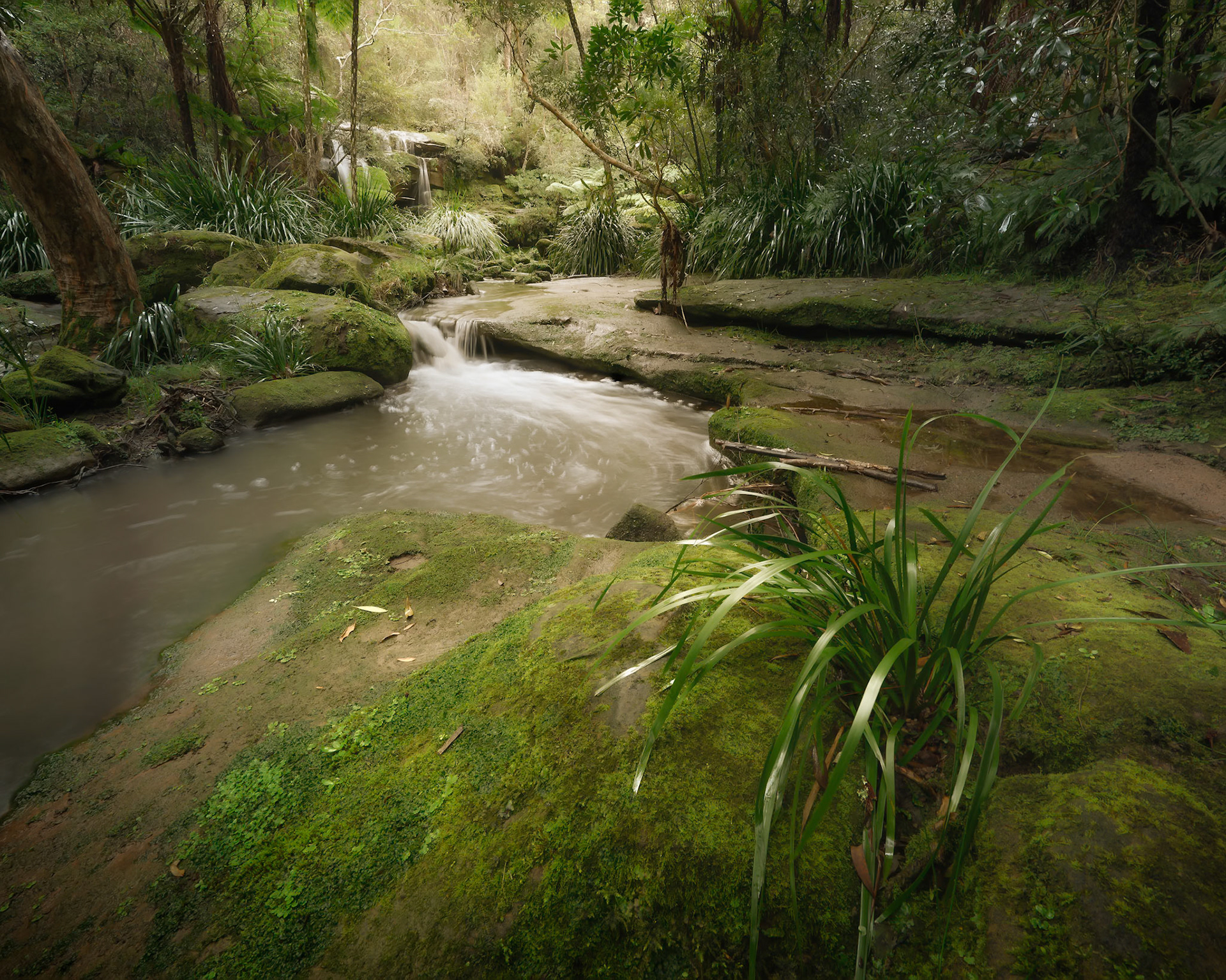 Kierans Creek 2