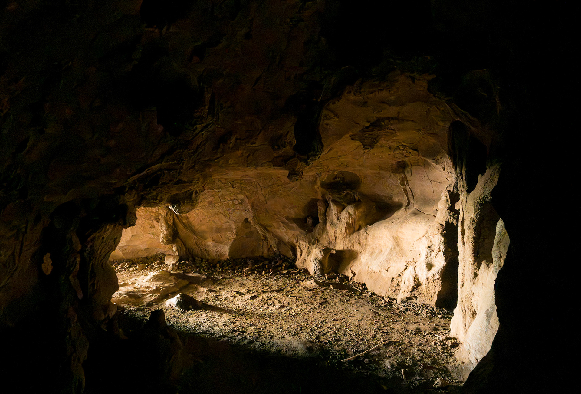 Borenore Karst Conservation Area