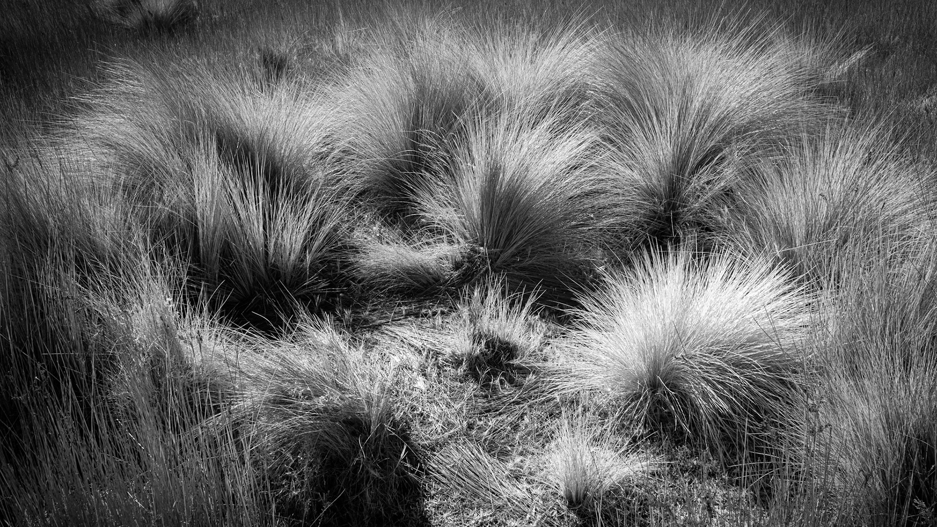 Tidal River - Wilsons Promonotry