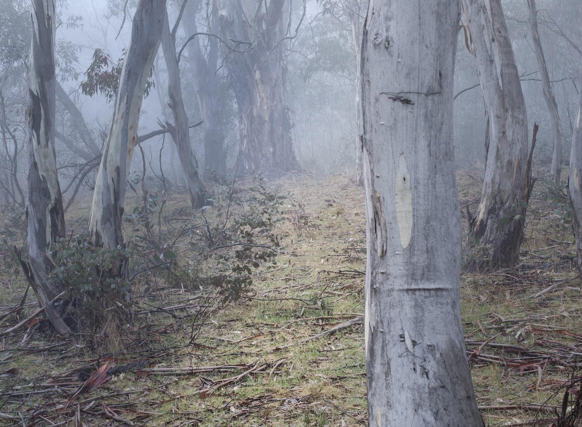 Waterfall Walk,  Sawpit Creek, Kosciuszko National park