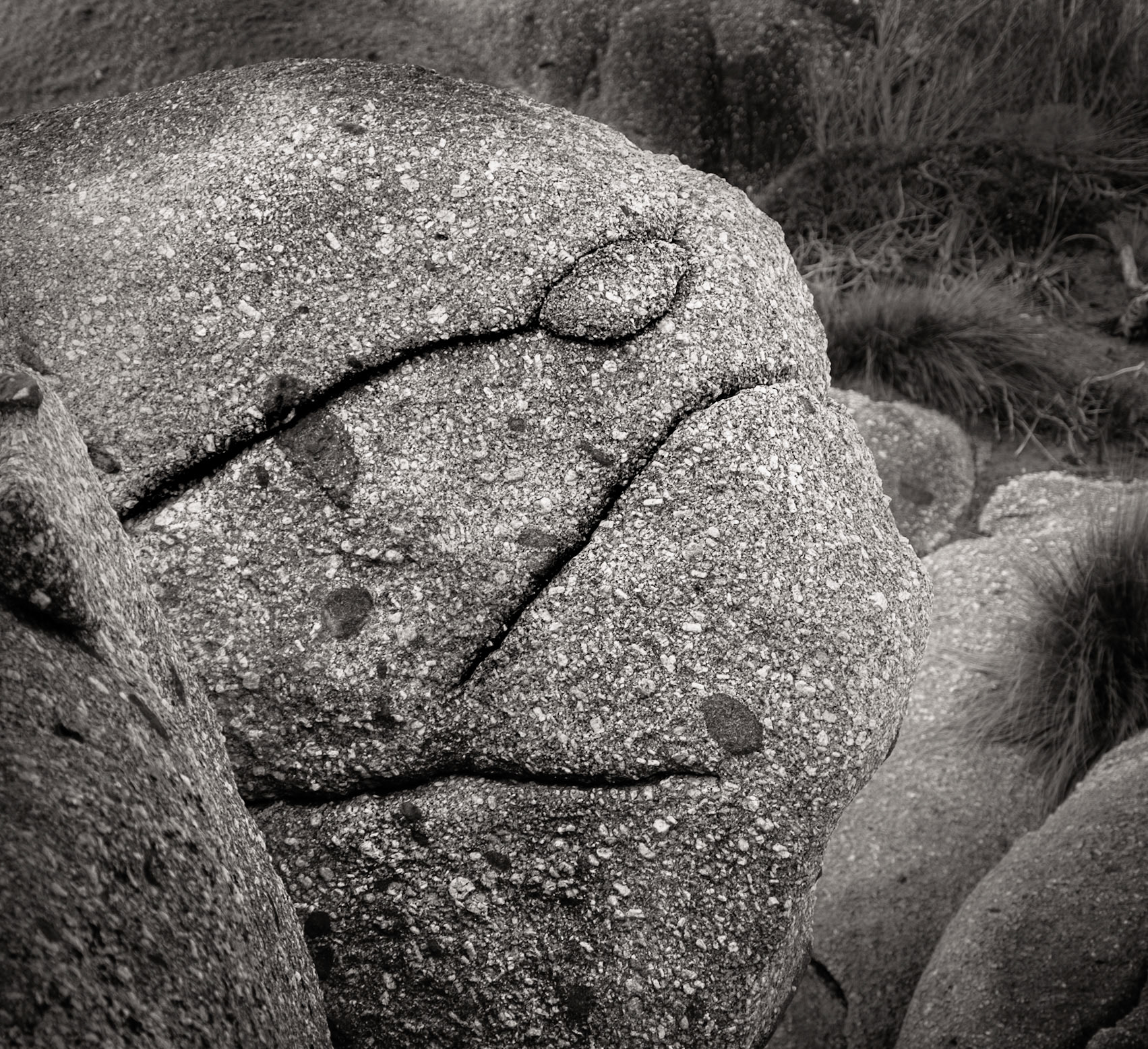 Picnic Bay, Wilsons Promontory