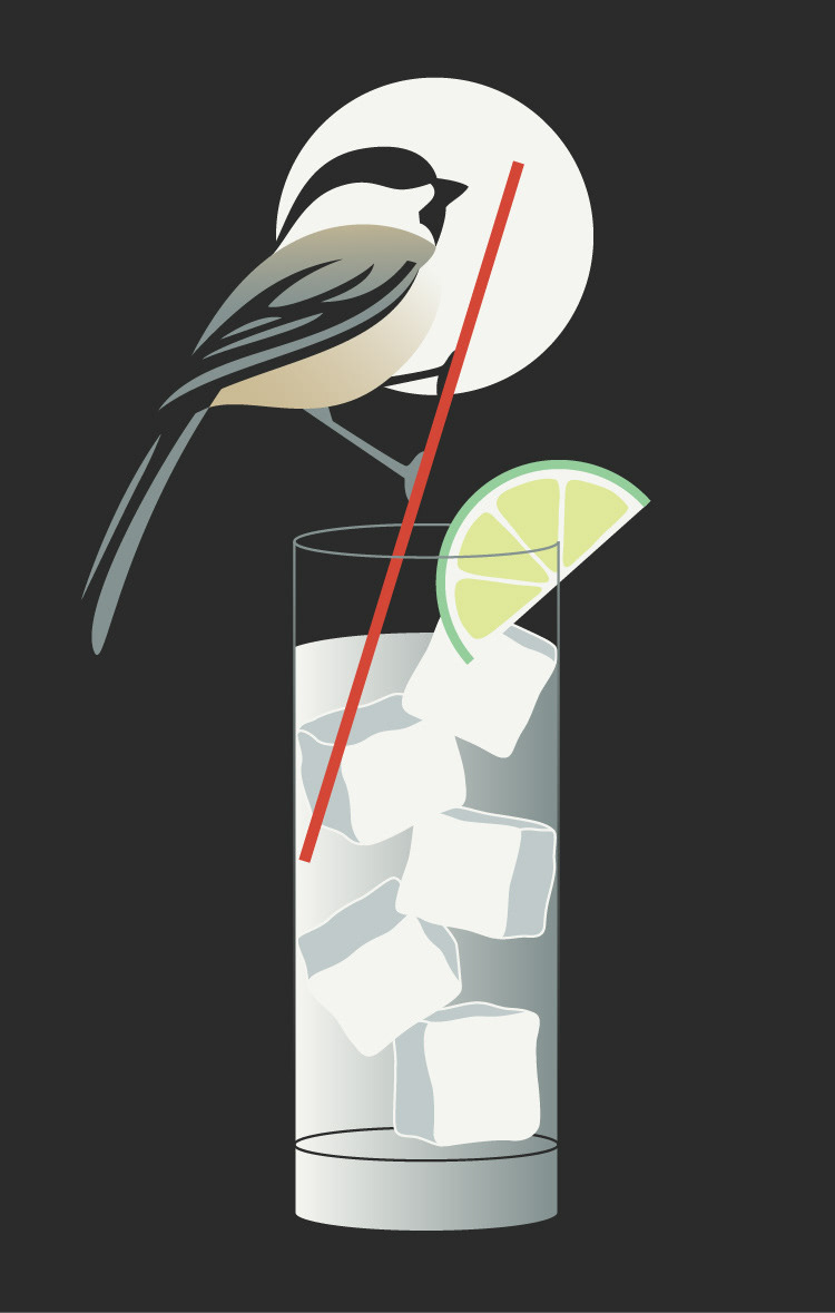 Black Cap Vodka poster illustration with a chickadee design perched on a glass