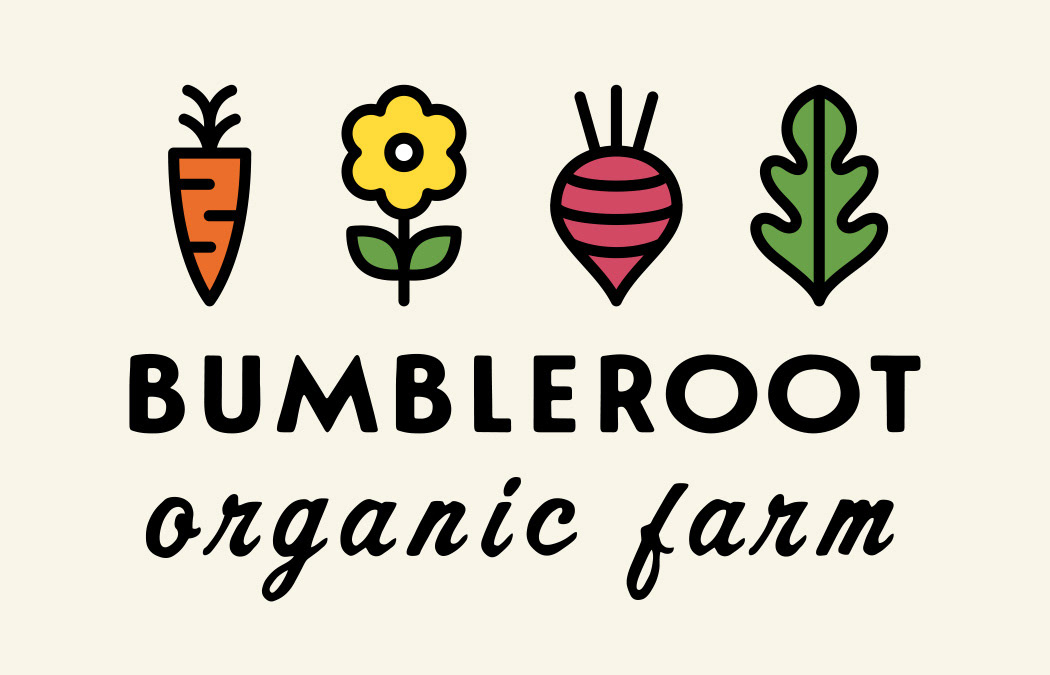 Bumbleroot Organic Farm logo featuring simple drawn icons of produce, including a carrot, daisy flower, turnip, beet, and lettuce leaf with rustic organic type.