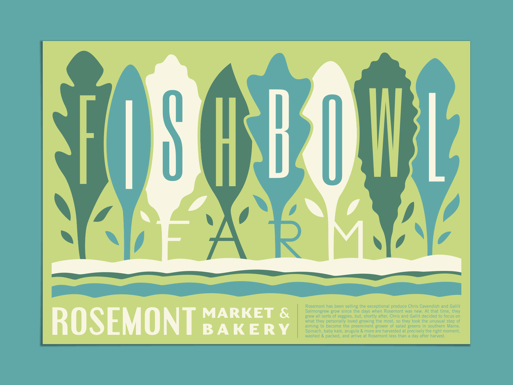 Poster design for Fishbowl Farm in Maine for Rosemont Market & Bakery, featuring green leaf lettuce illustrated by Scott Whitehouse.