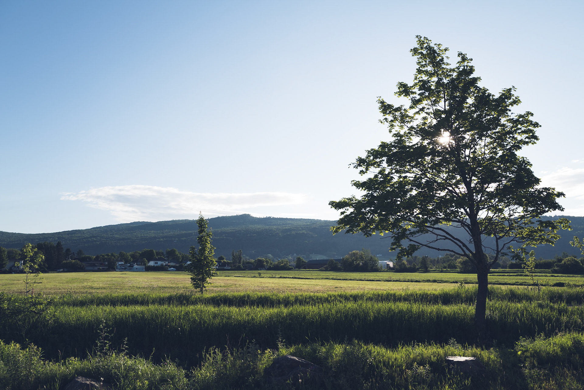 Baie-Saint-Paul (Québec, Canada)