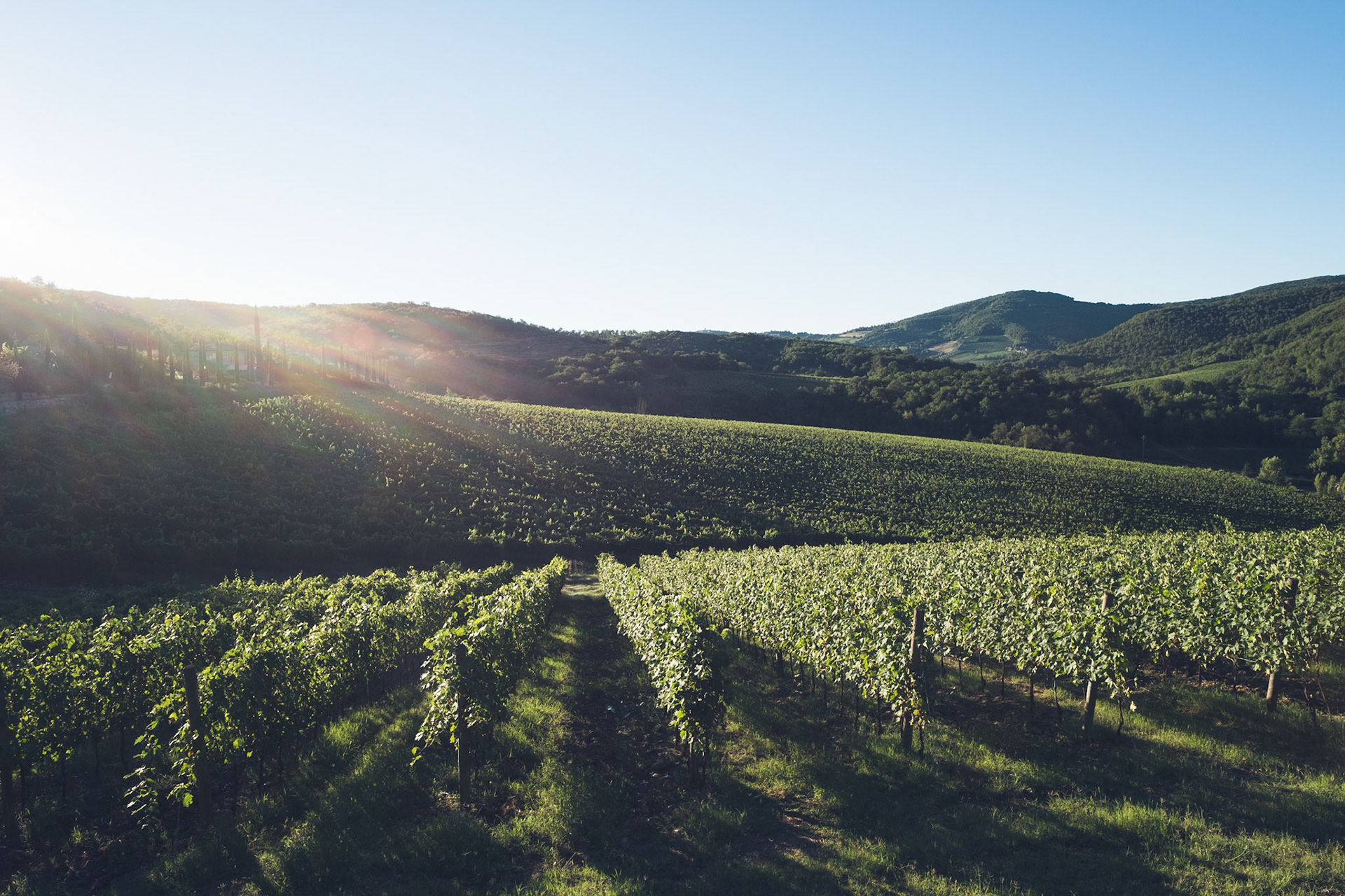 Radda in Chianti (Italy)