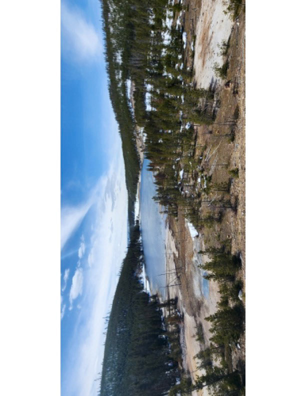 Yellowstone Landscape 1