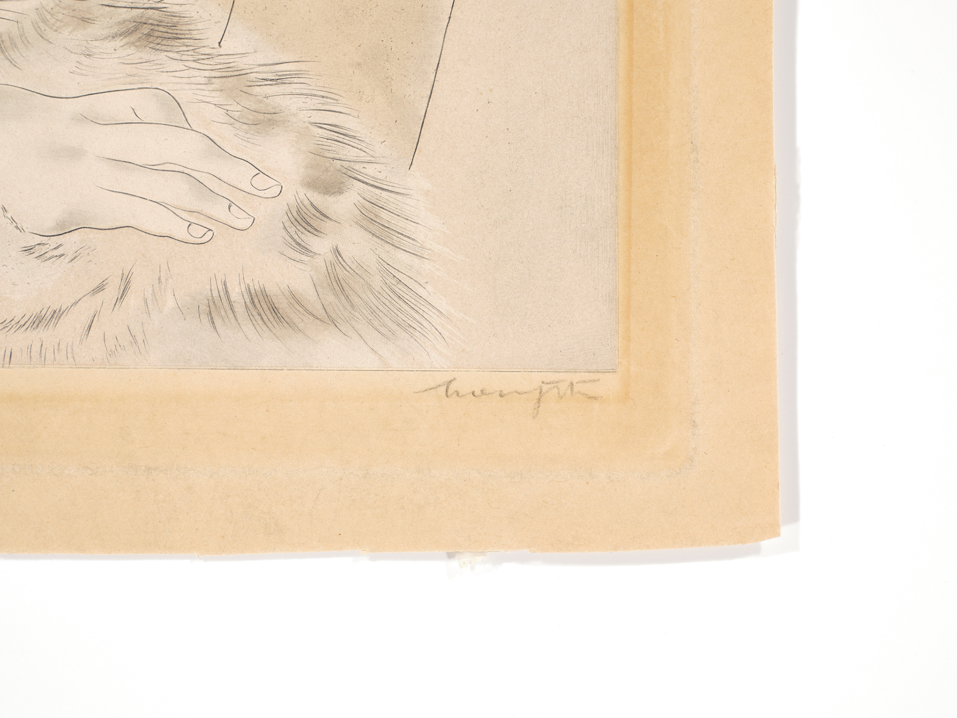 Fillette au chat - 1929