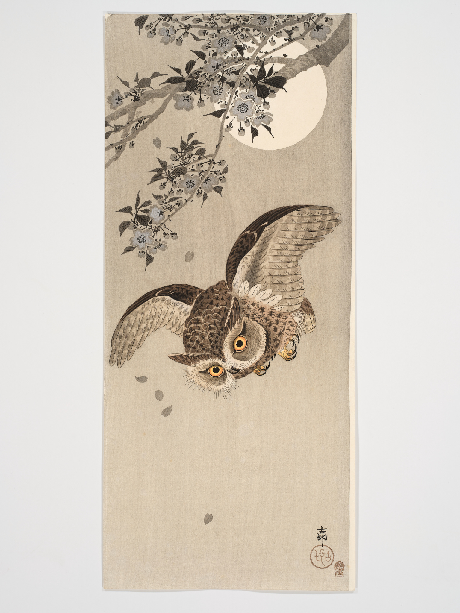 Ohara Koson (1877 - 1945) - Scops owl in flight, cherry blossoms and full moon
