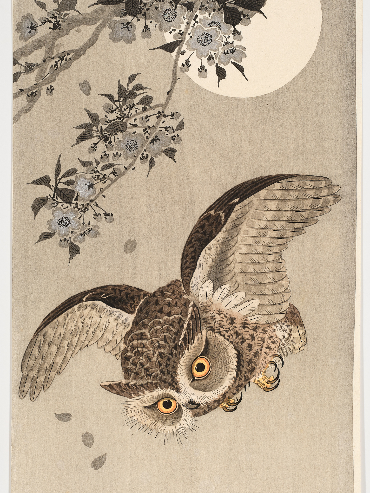 Ohara Koson (1877 - 1945) - Scops owl in flight, cherry blossoms and full moon