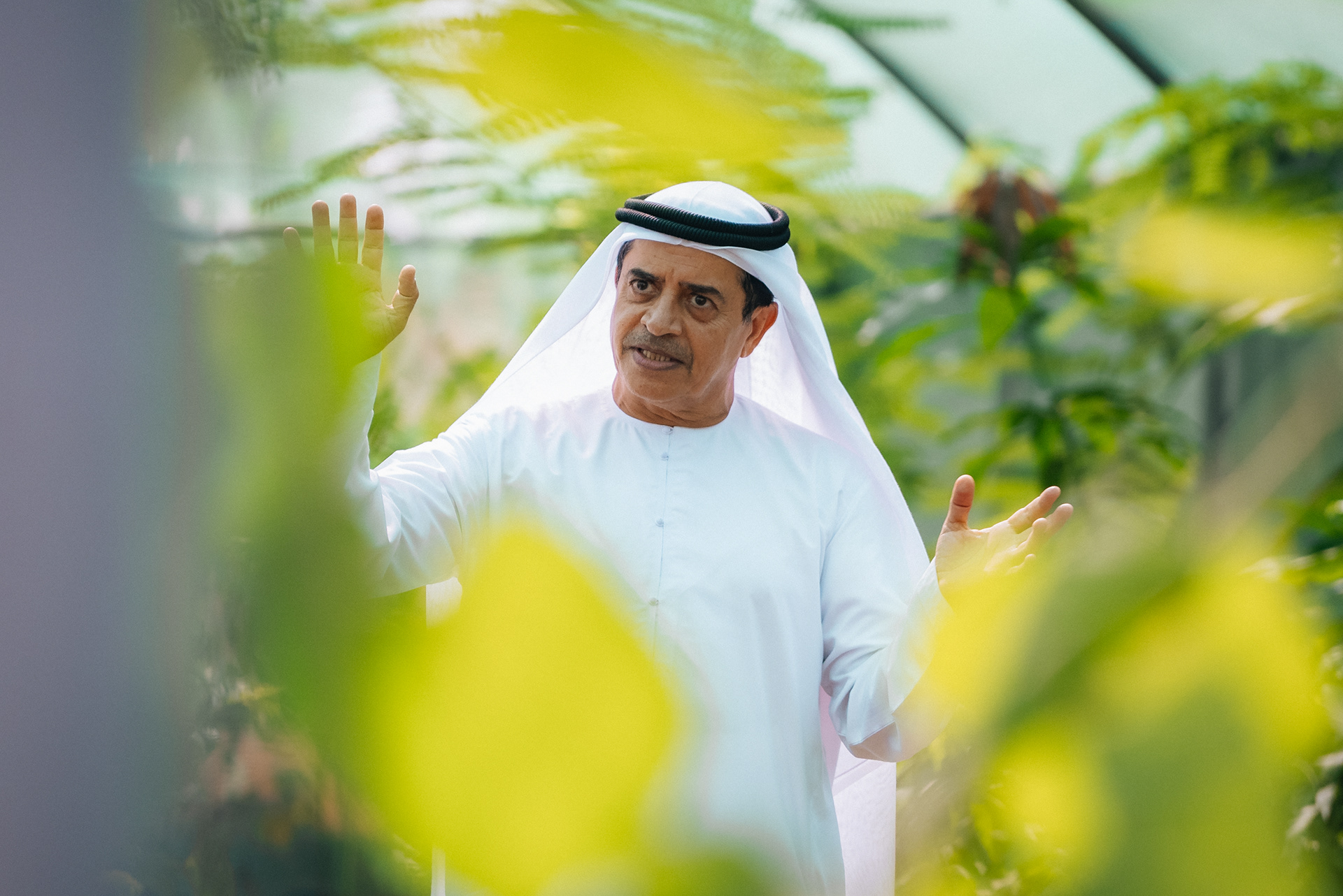 Wadi Dafta Plantation