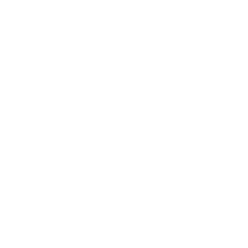 X Challenge