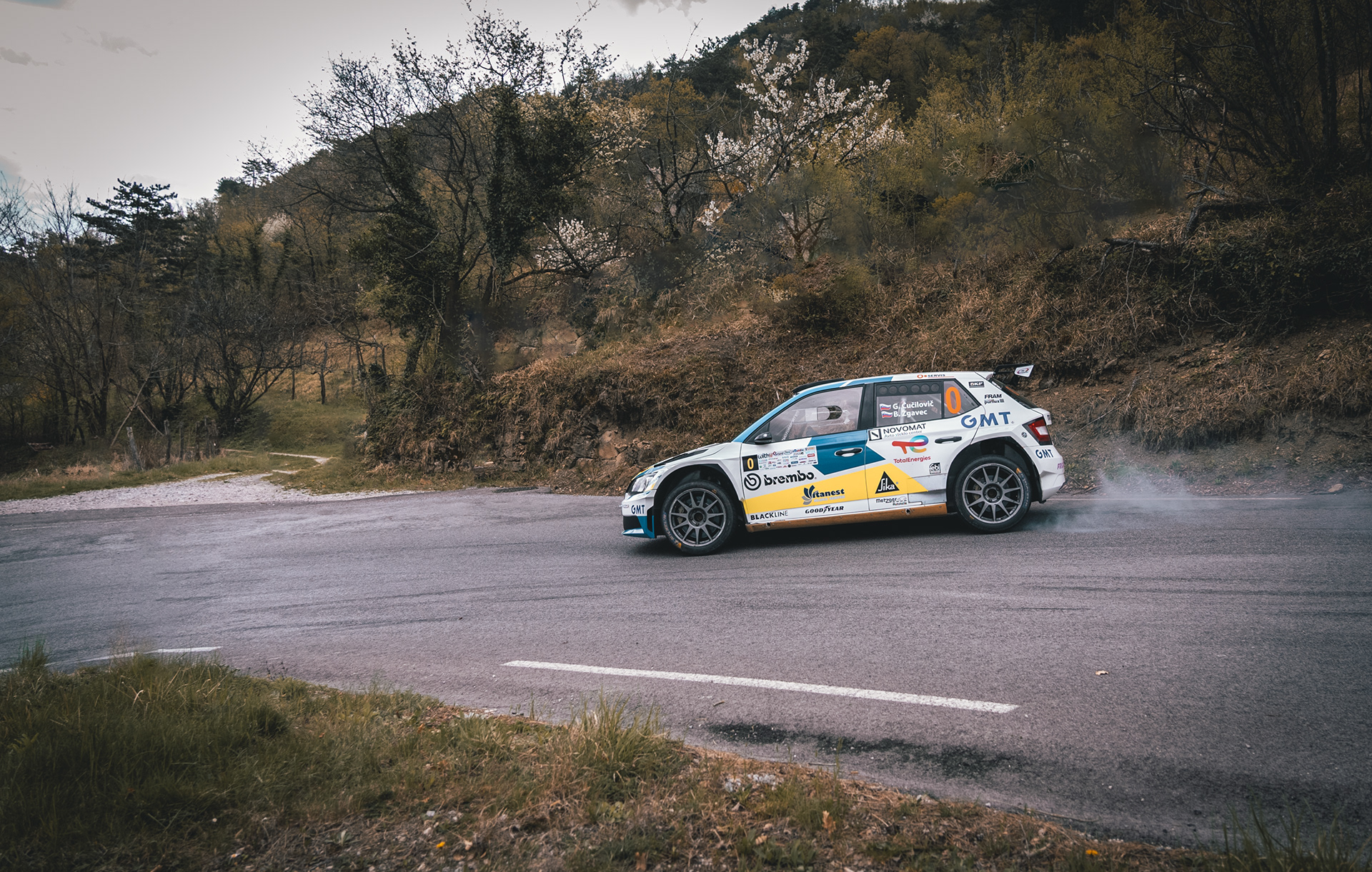 Vipava Rally (Day 2)