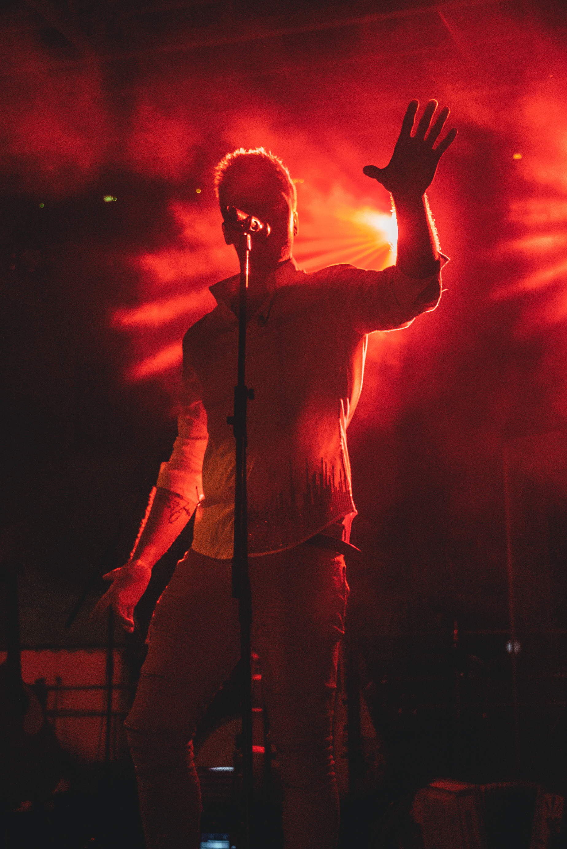 Concert Senožeče - Luka Basi &amp; Polkaholiki