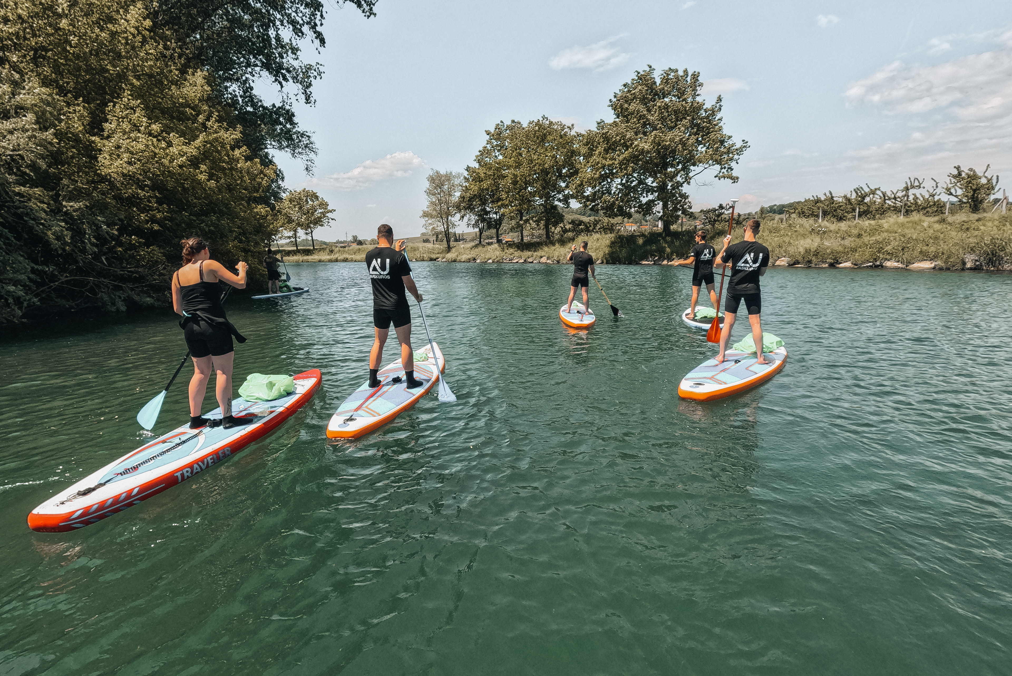 Cistilna akcija in suppanje