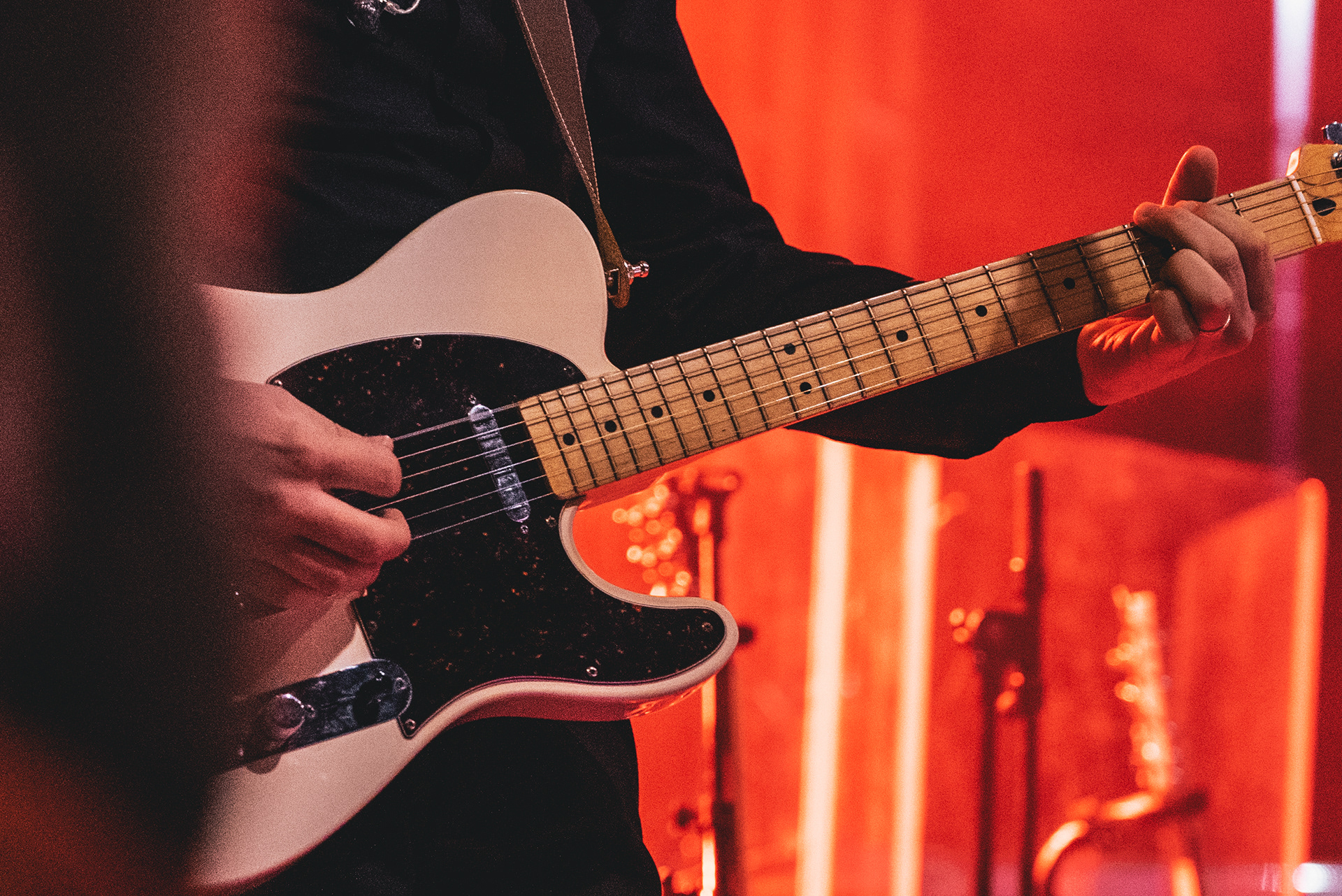 Concert Senožeče - Luka Basi &amp; Polkaholiki