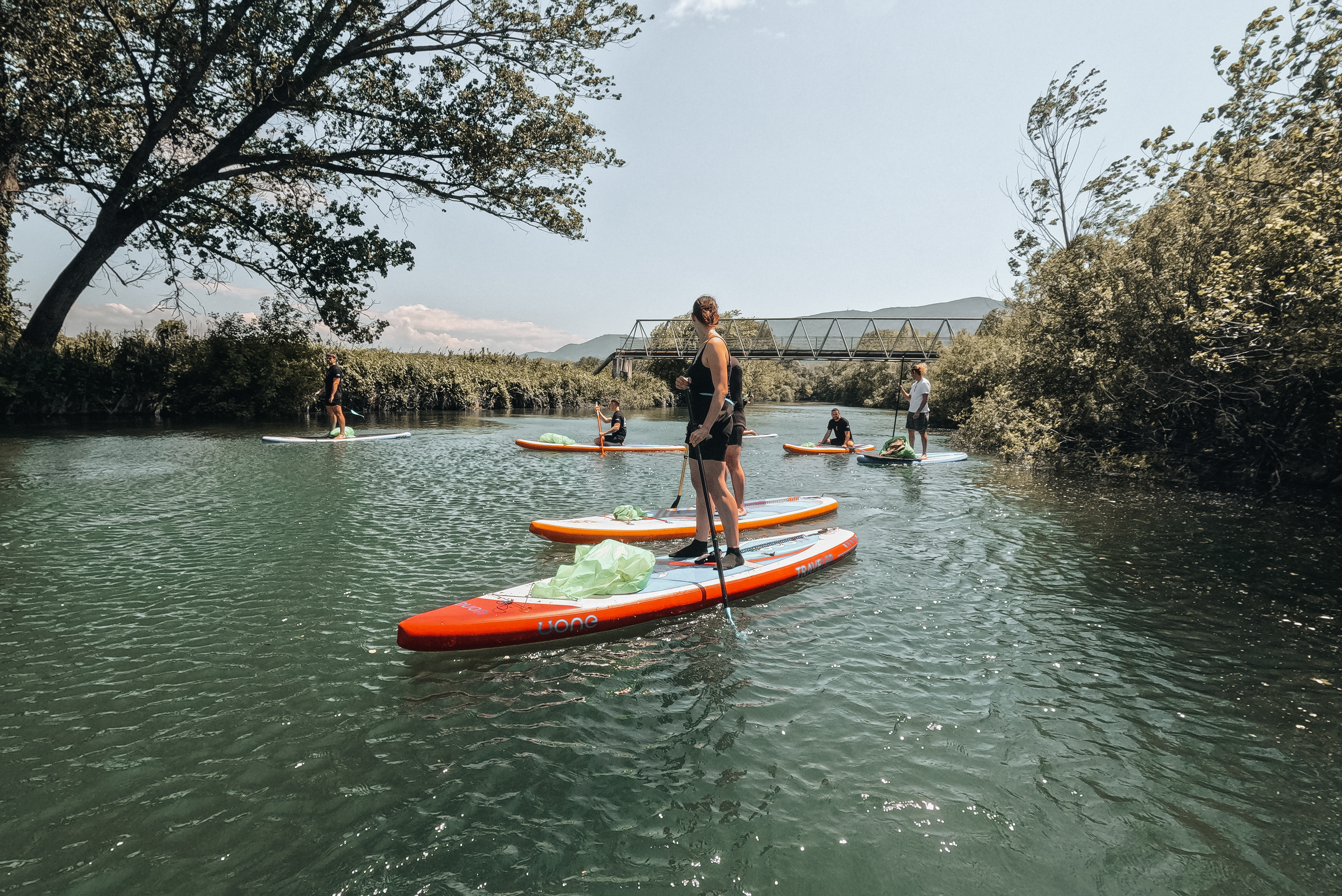 Cistilna akcija in suppanje