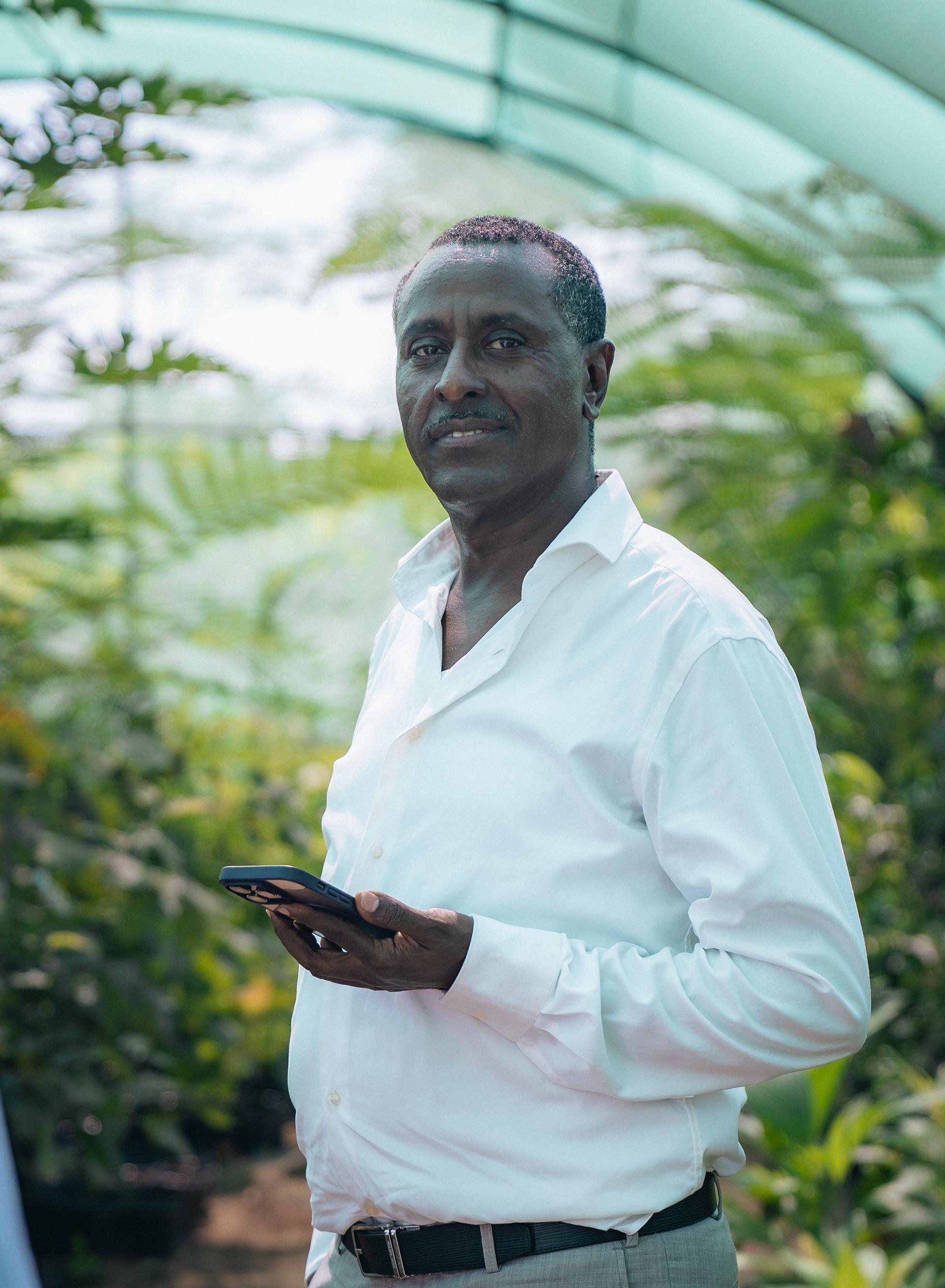 Wadi Dafta Plantation