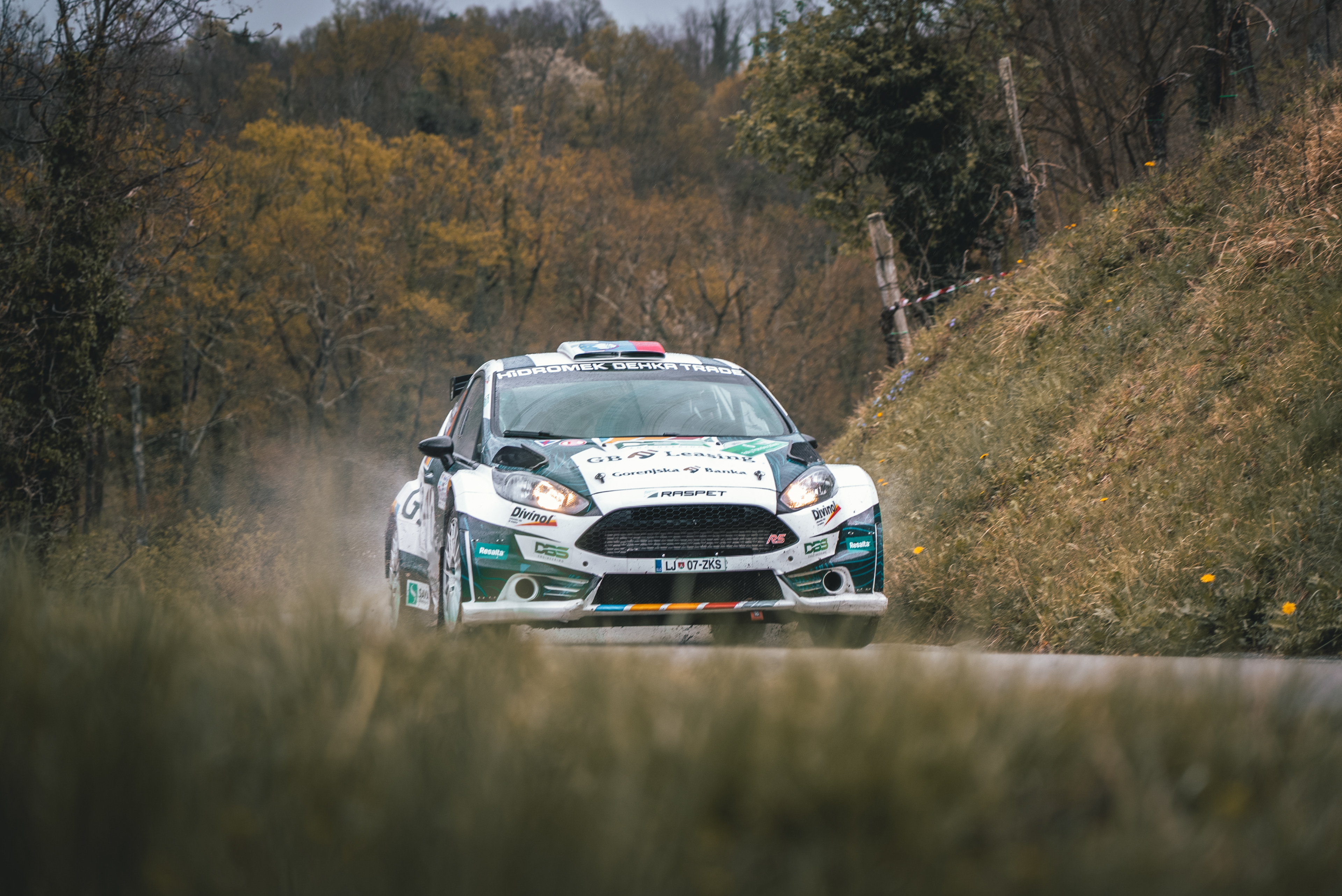 Vipava Rally (Day 2)