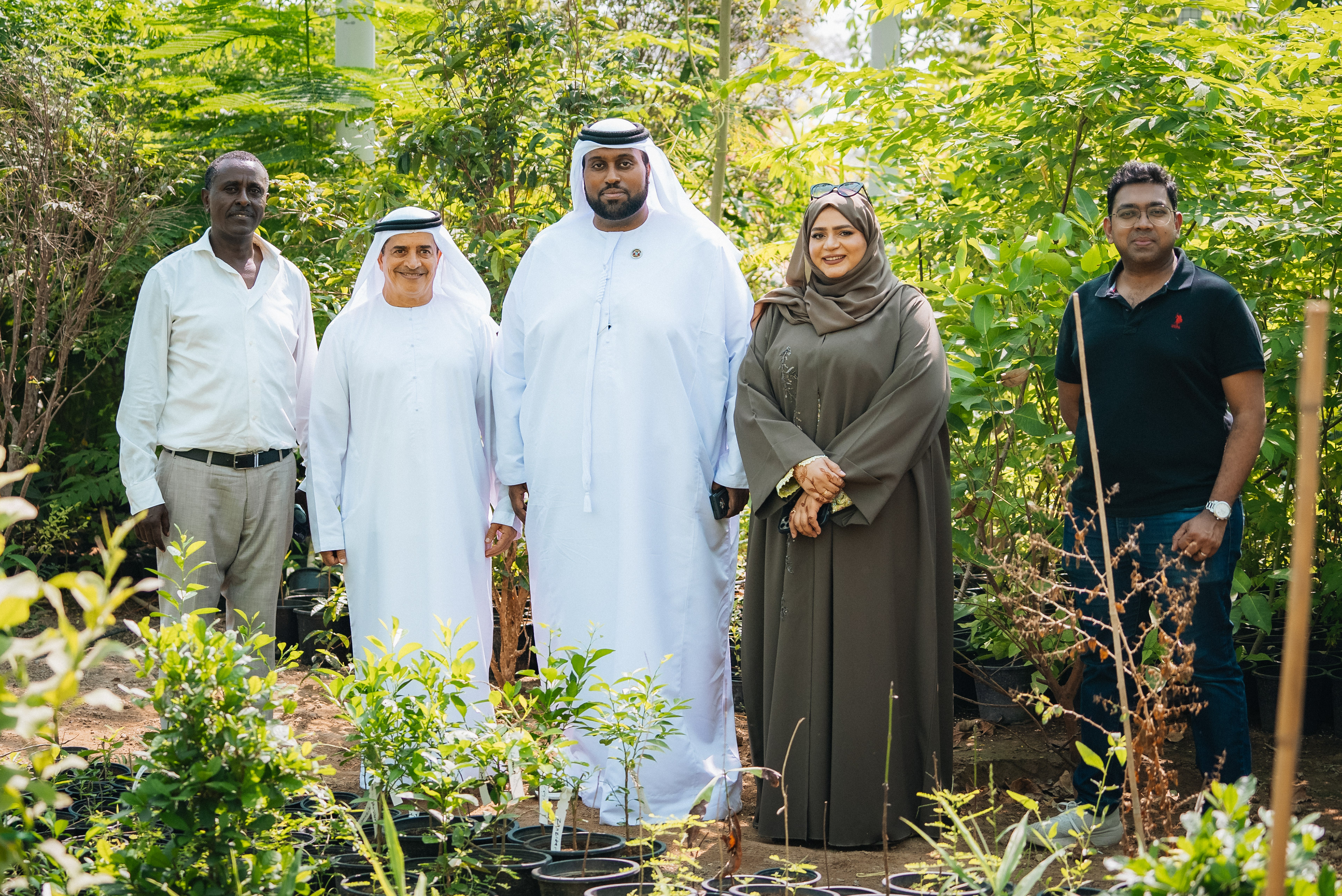 Wadi Dafta Plantation