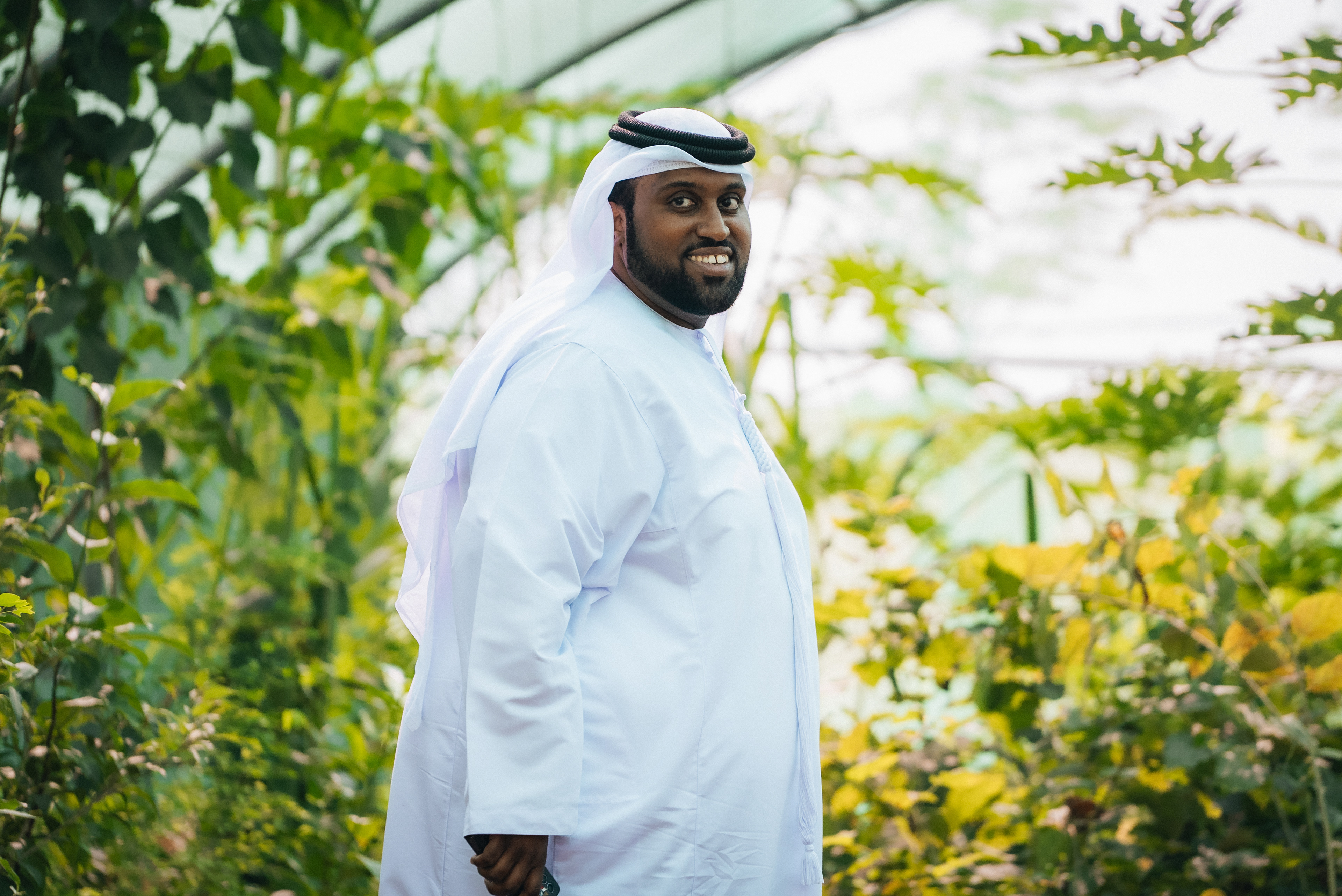 Wadi Dafta Plantation