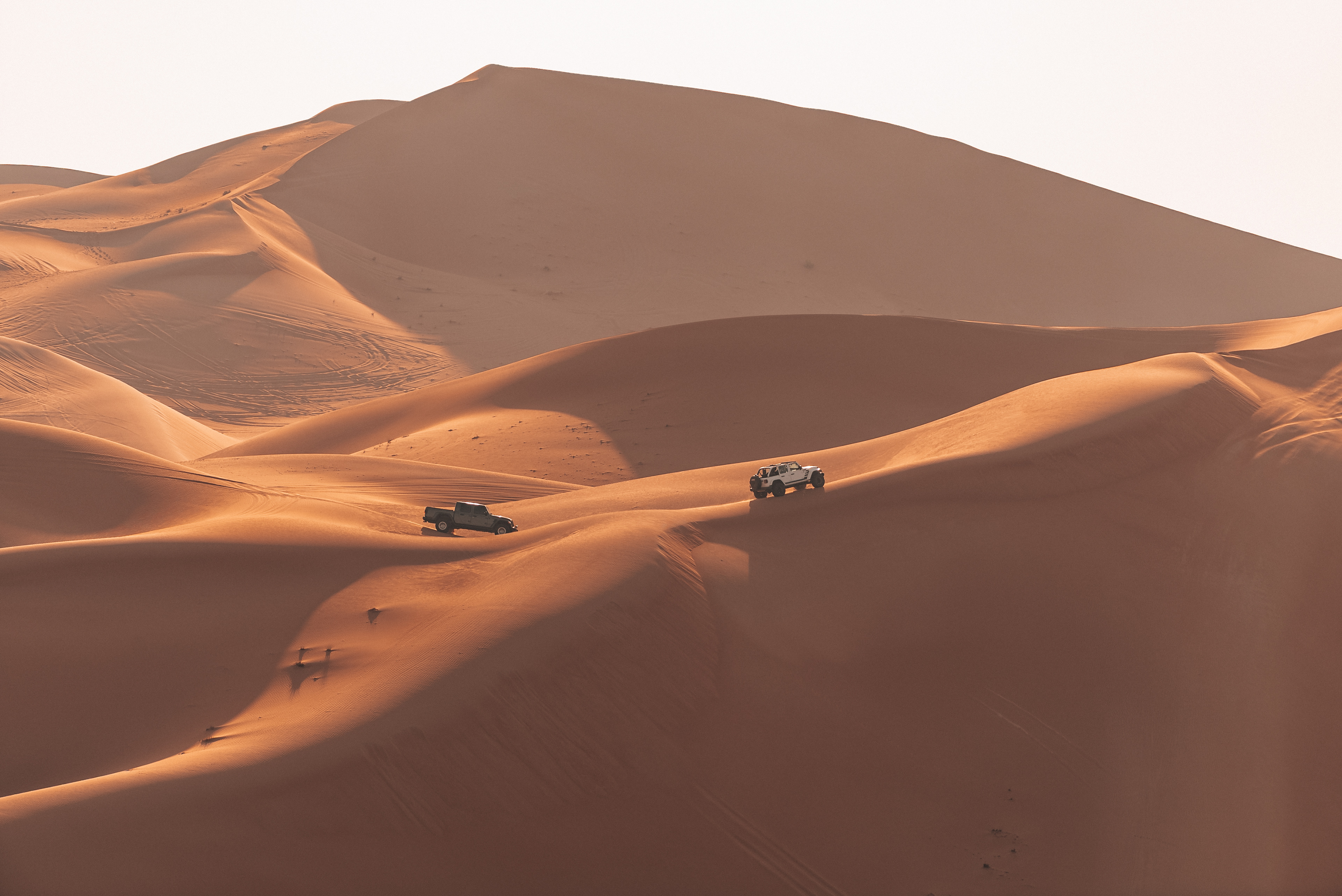 Deep Desert Experience