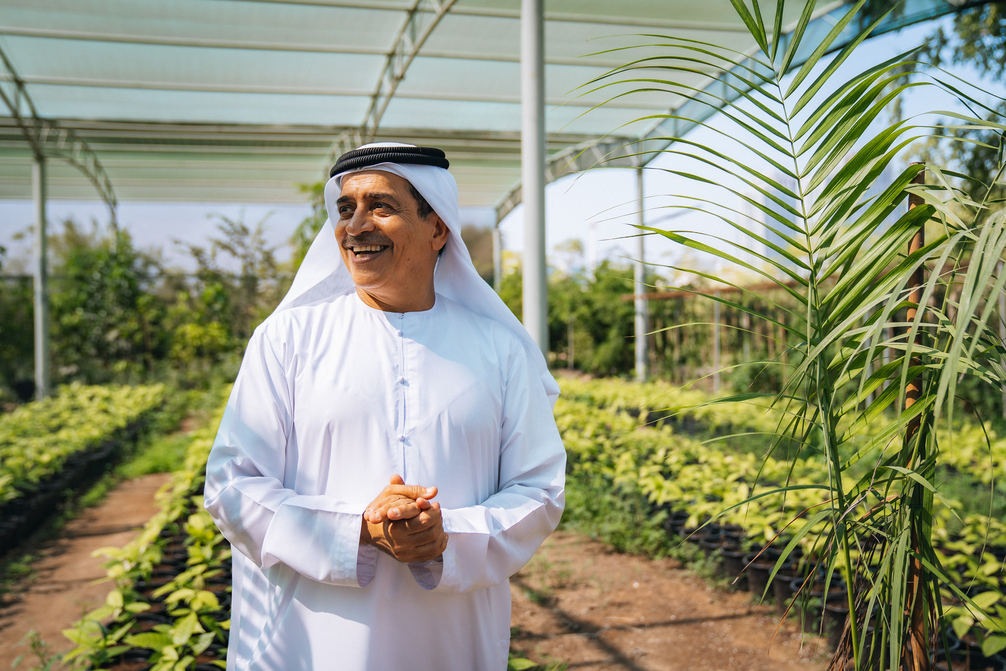 Wadi Dafta Plantation