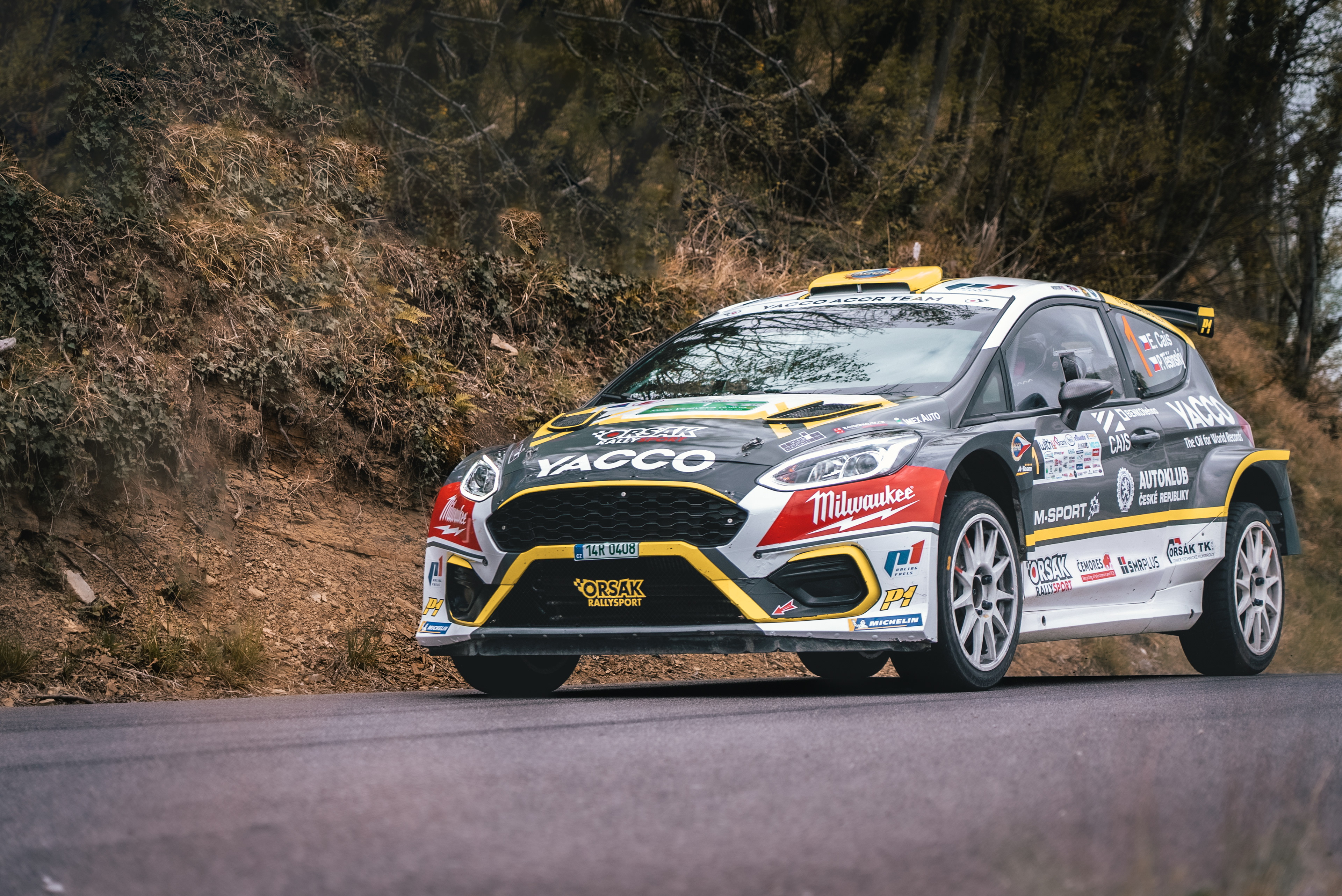 Vipava Rally (Day 2)