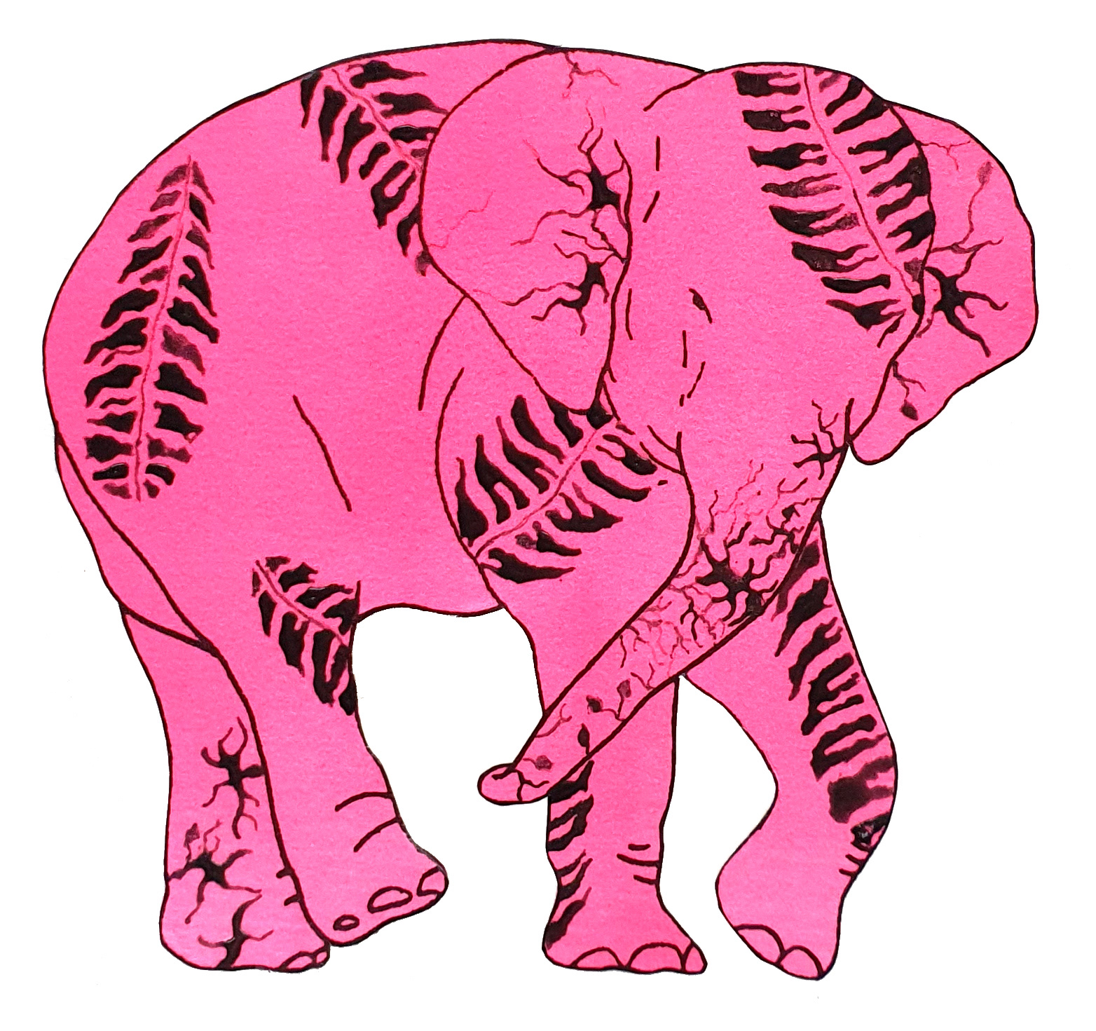상아없는 데코펀트 DECOPHANT without IVORY 08 2022