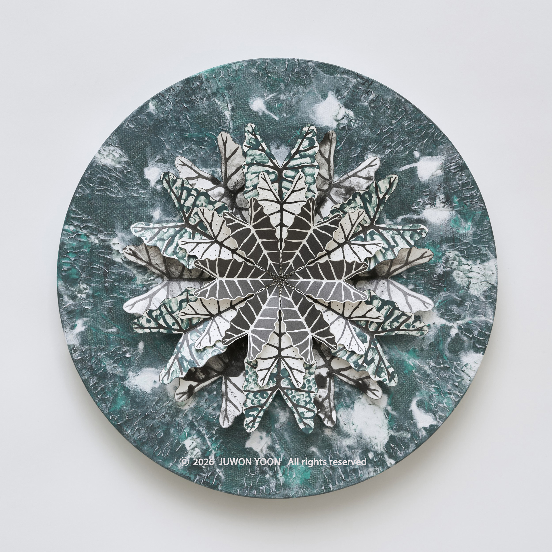 여섯잎의 순환:리듬 Rebirth-Hexa Foliage: Rhythm Ø40cm mixed media on canvas 2026