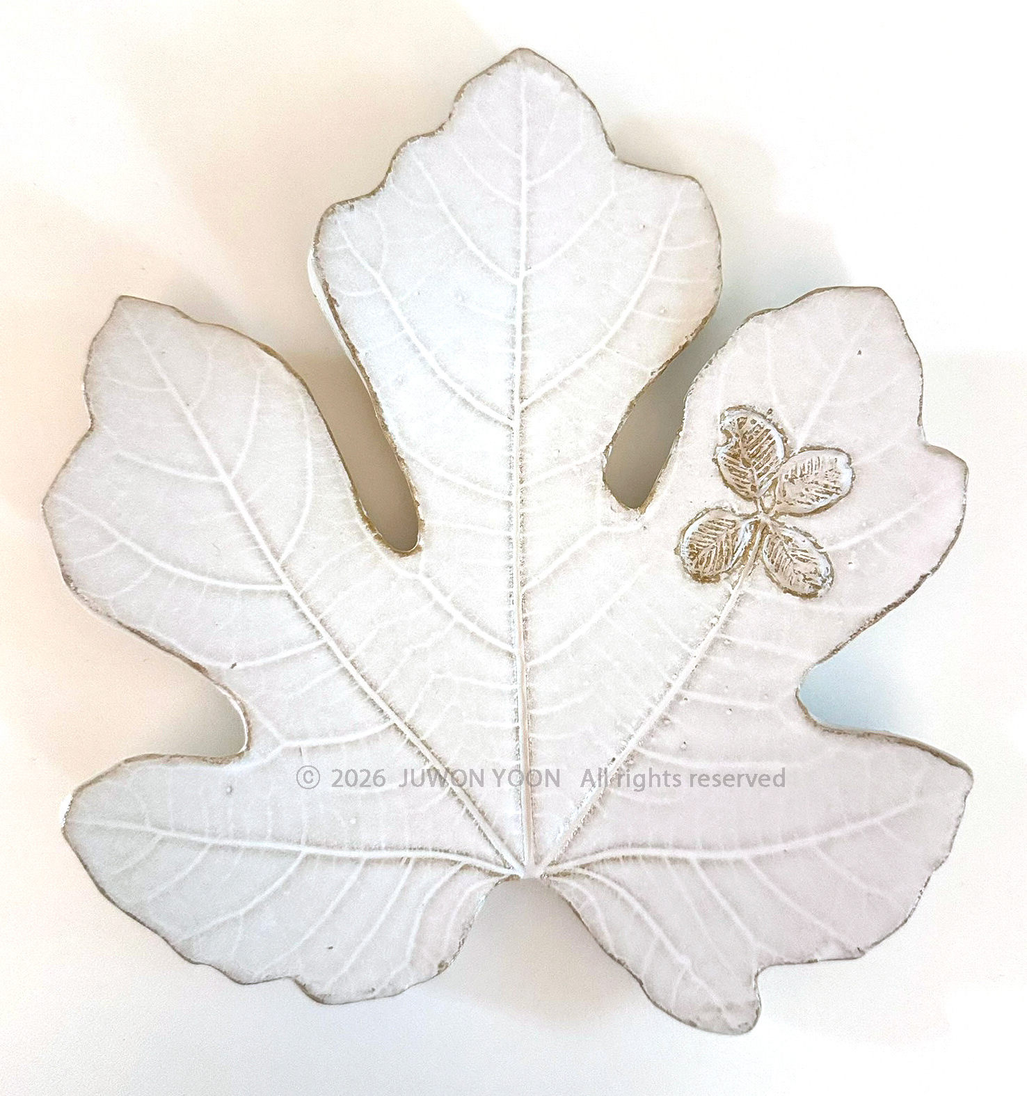 새겨진 시간 Imprinted Time Fig Leaf_ceramic 2026