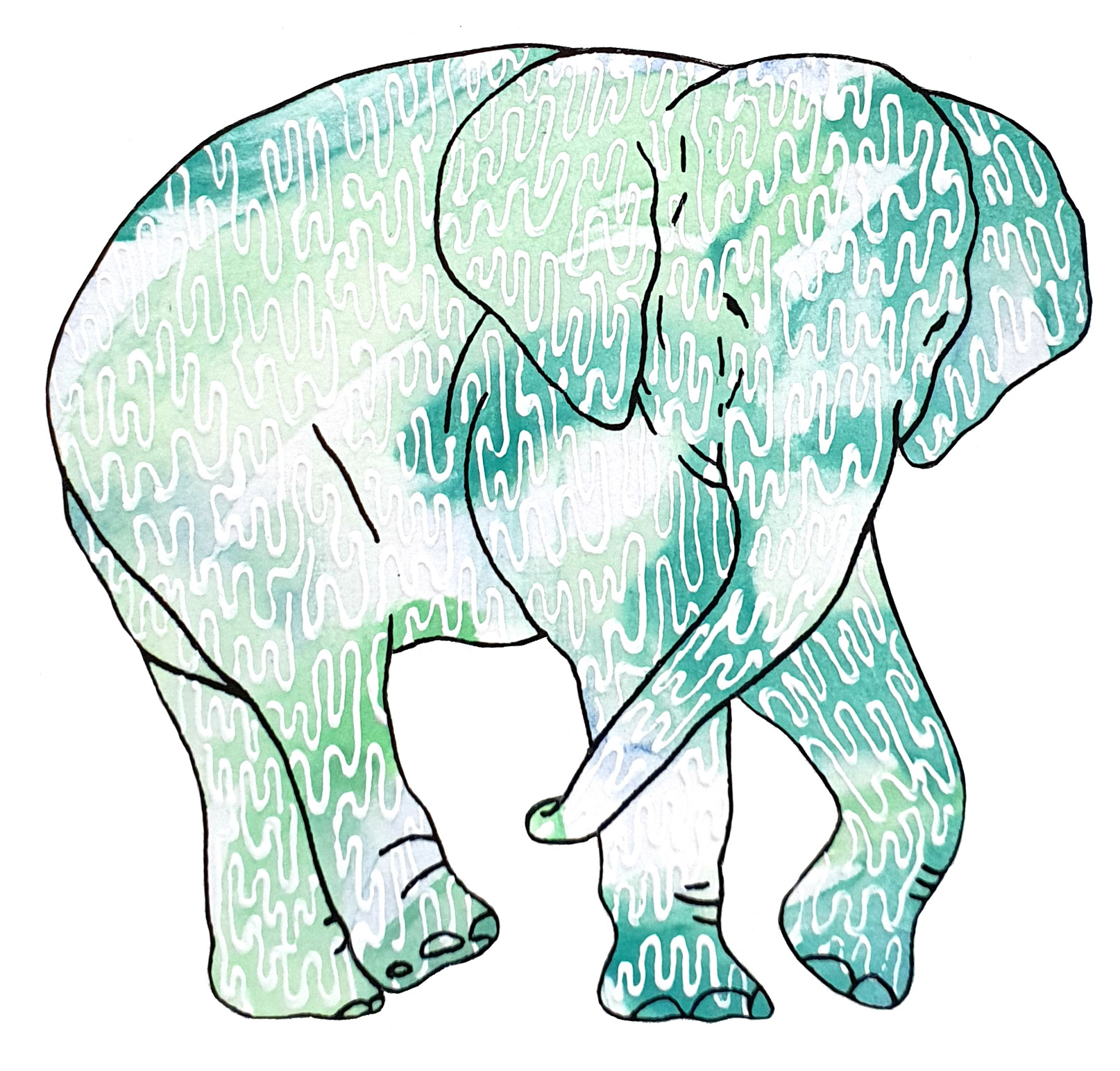 상아없는 데코펀트 DECOPHANT without IVORY 13 2022