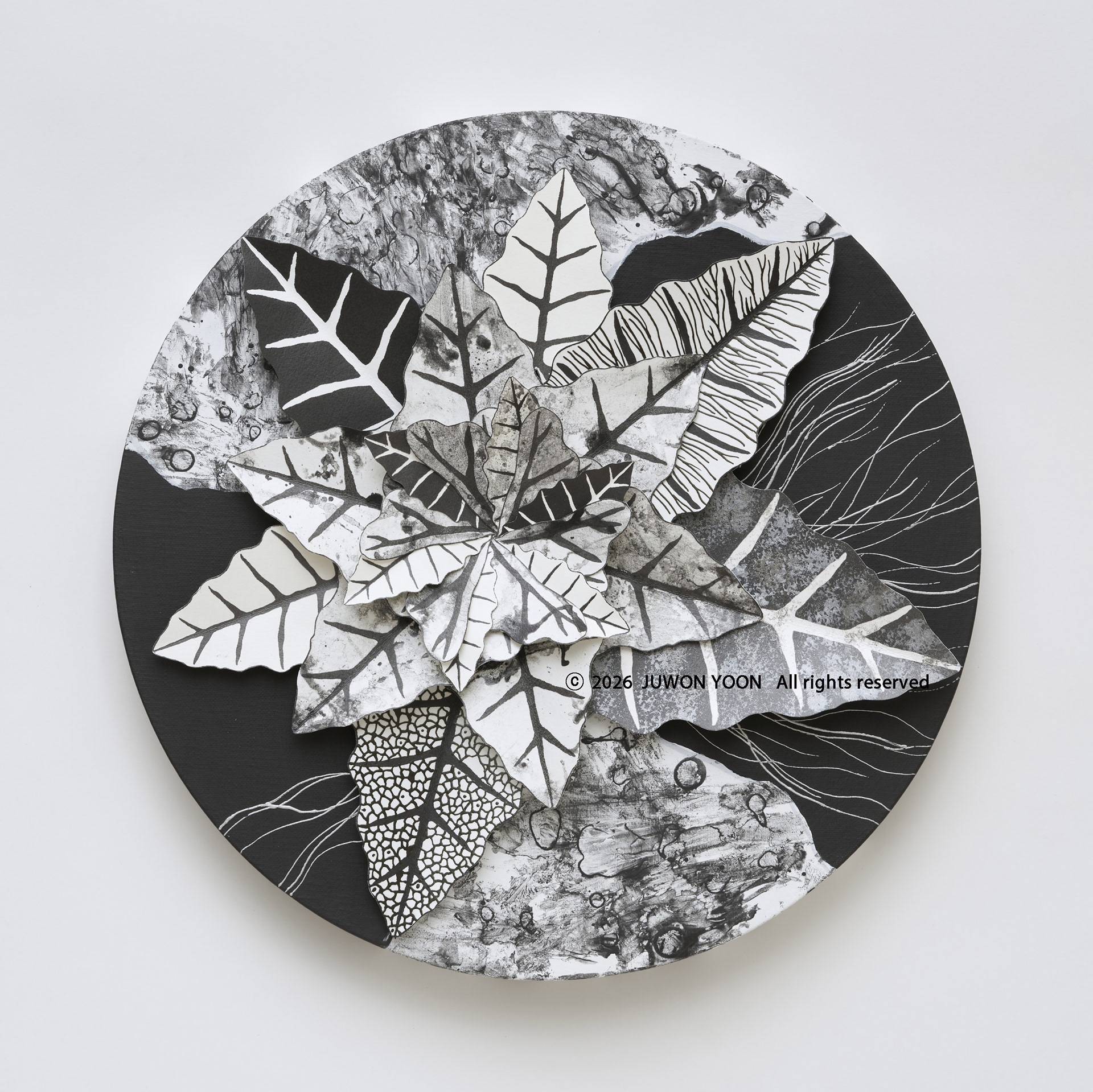 여섯잎의 순환:궤도 Rebirth-Hexa Foliage: Orbit Ø40cm mixed media on canvas 2026