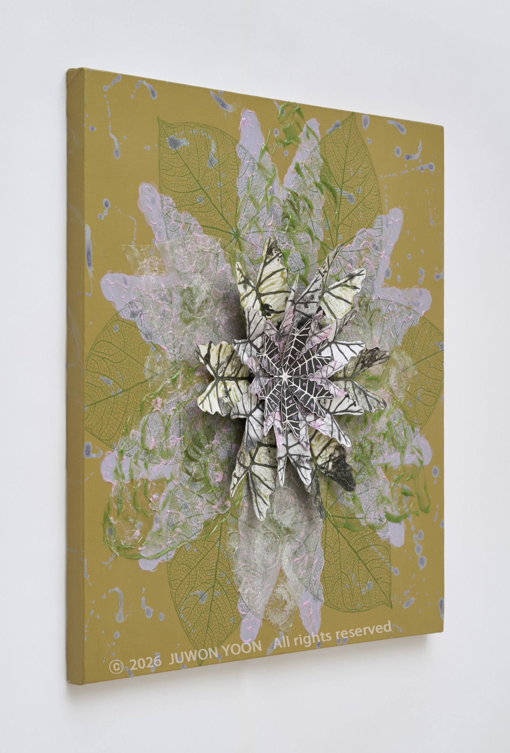 여섯잎의 순환:싹틈 Rebirth-Hexa Foliage: Sprout 73x73cm mixed media on canvas 2026