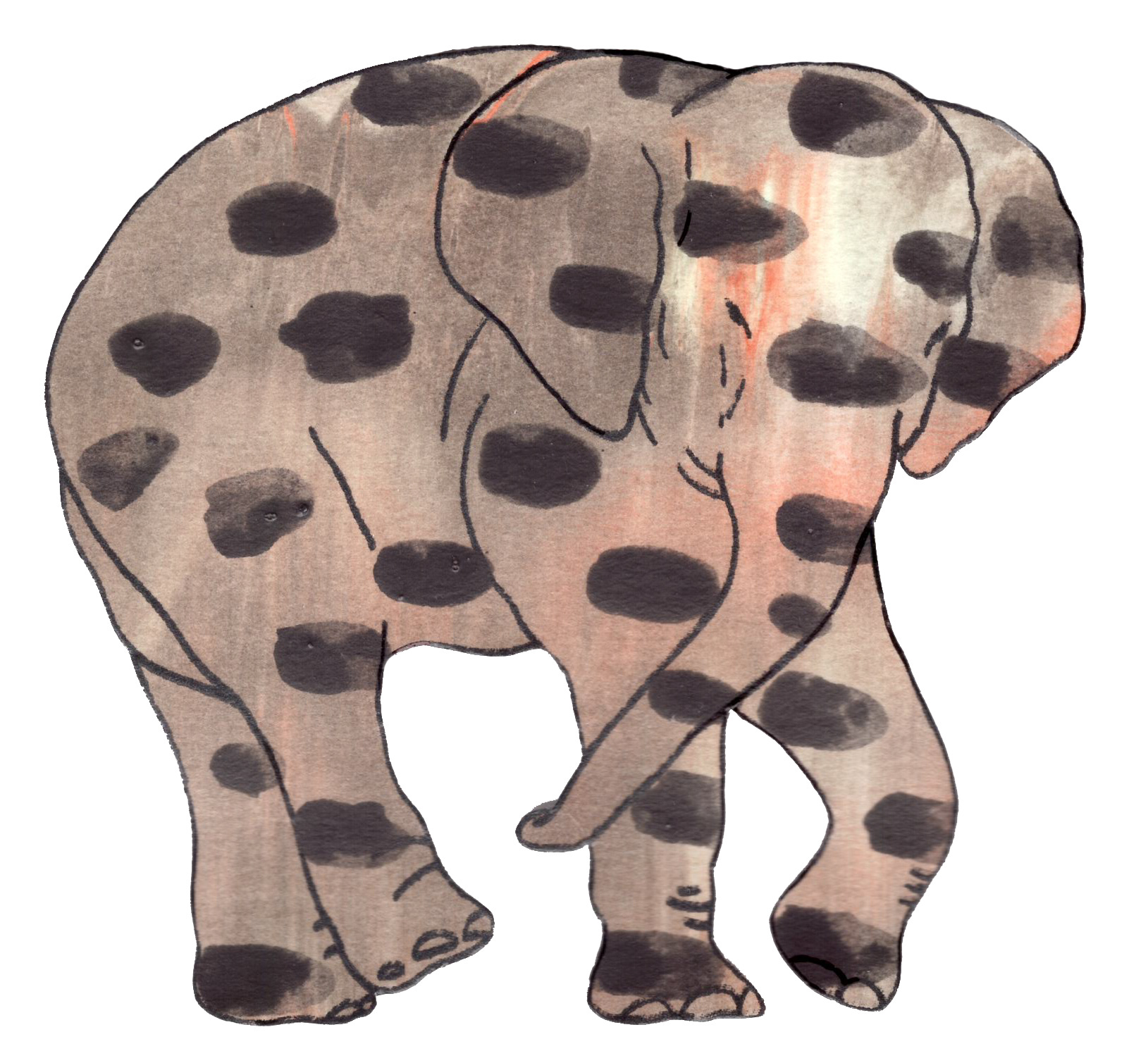 상아없는 데코펀트 DECOPHANT without IVORY 19 2022